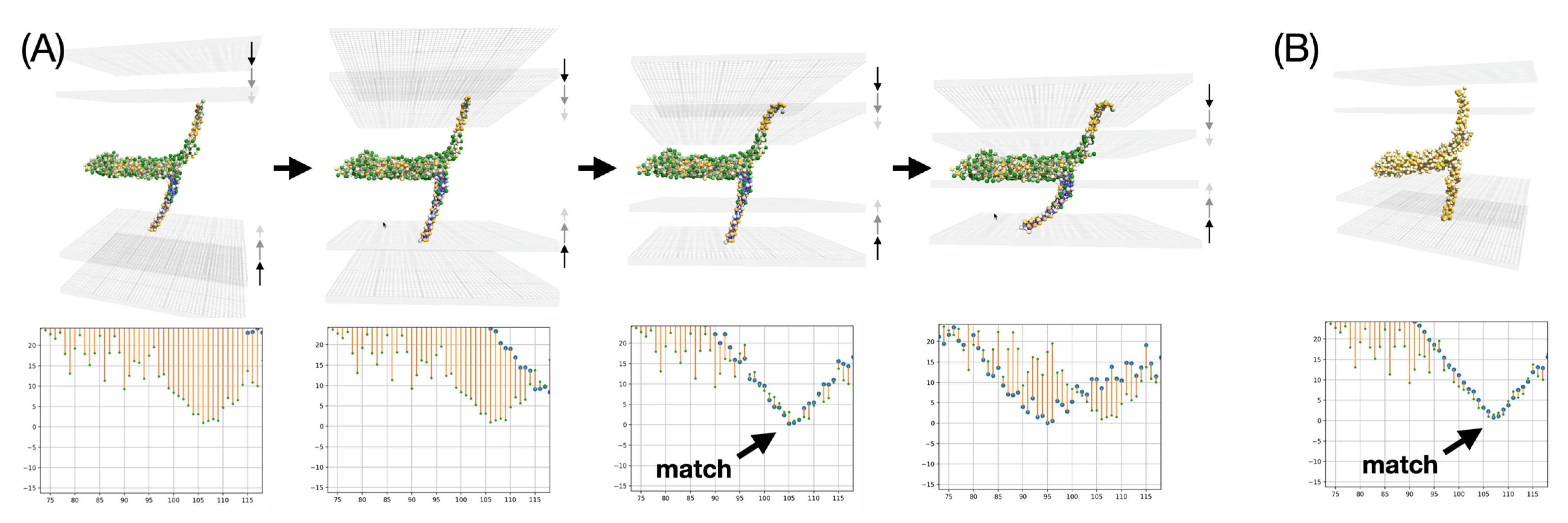 Membranes 13 00362 g012