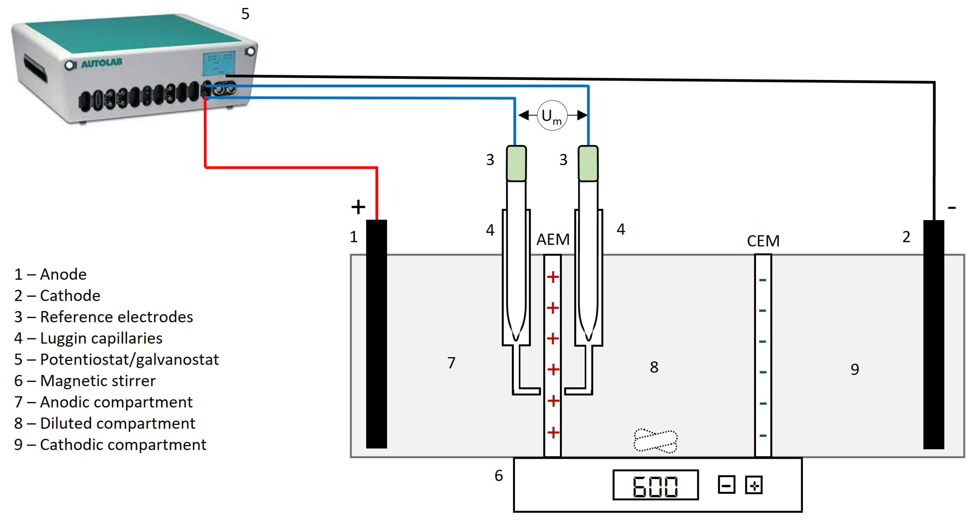 Membranes 13 00363 g0a1 Membranes 13 00363 g0a1