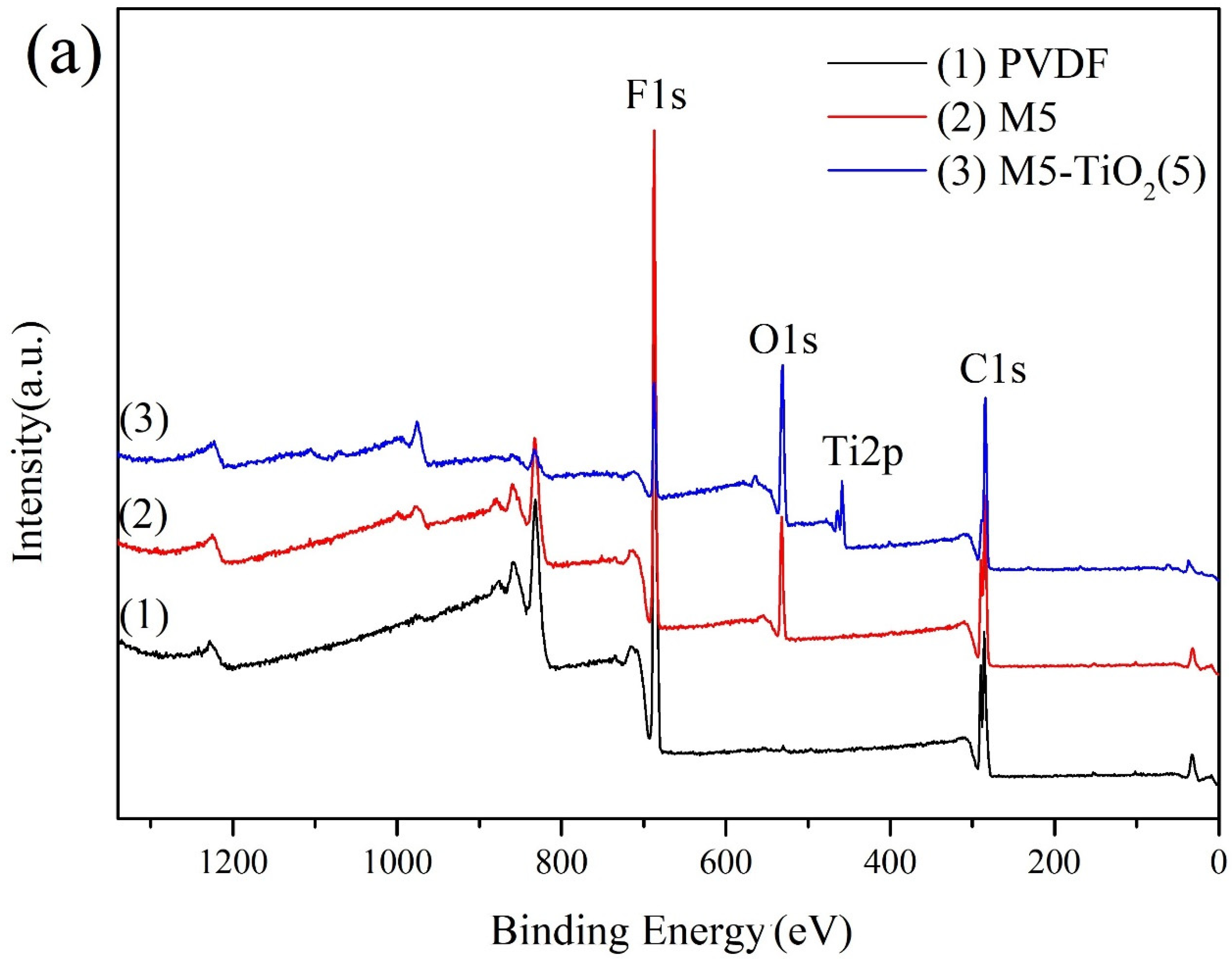 Membranes 13 00364 g005a