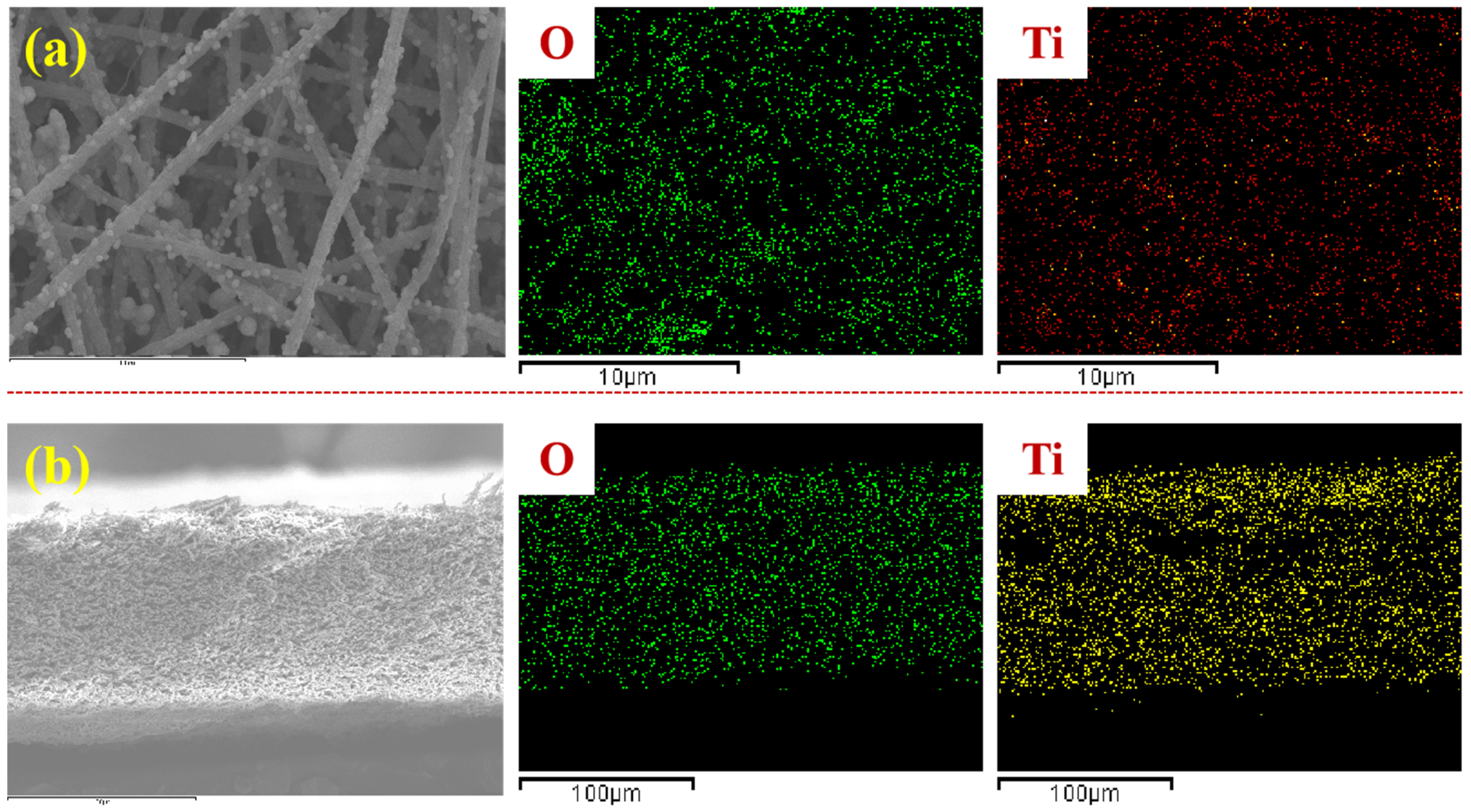 Membranes 13 00364 g007