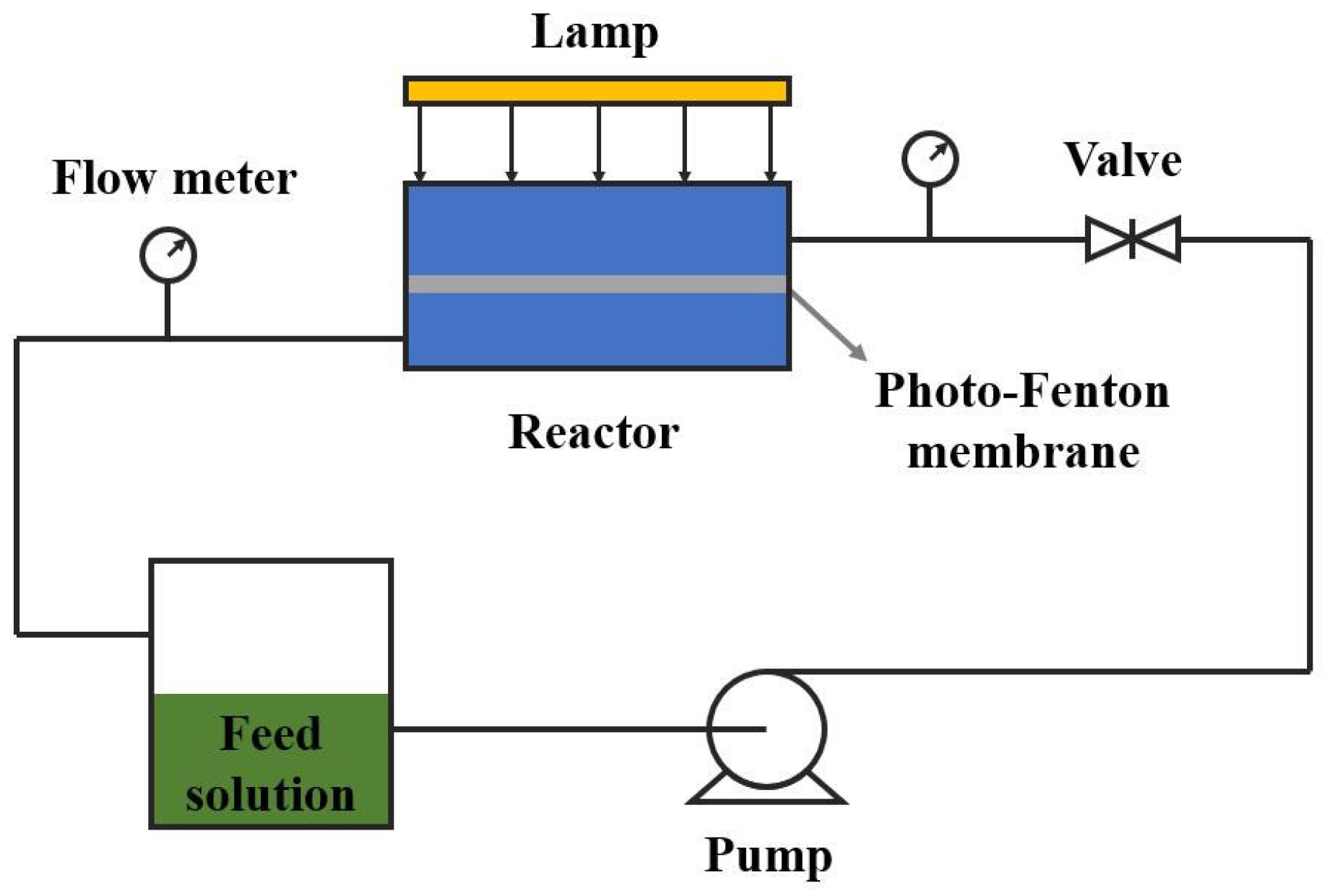 Membranes Free FullText Application of PhotoFentonMembrane