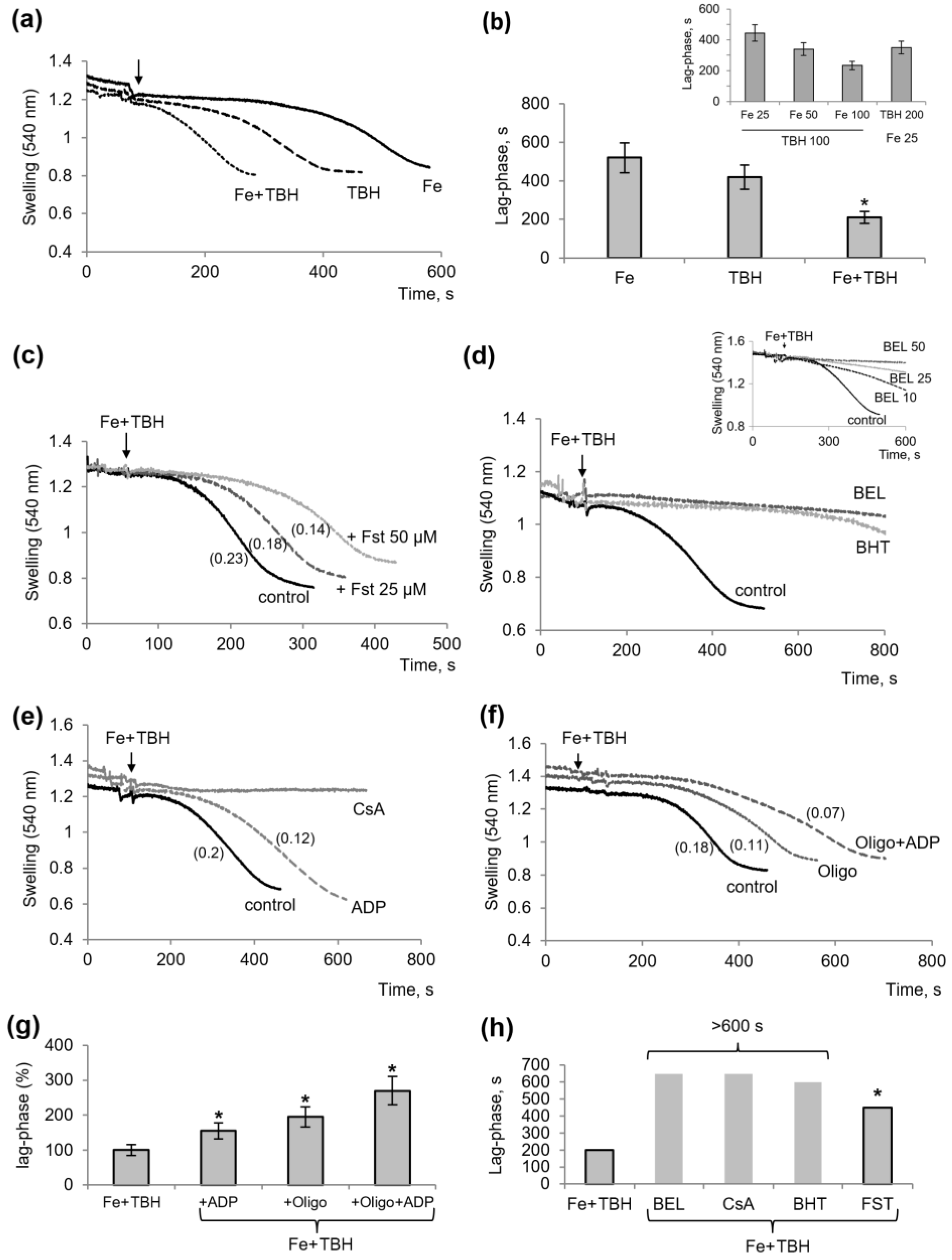 Membranes 13 00372 g001