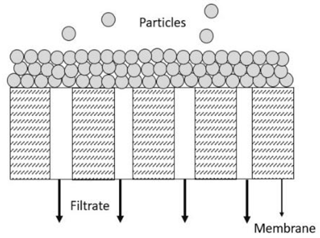 Membranes 13 00373 i002