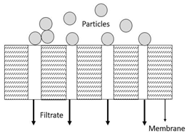 Membranes 13 00373 i004