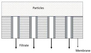 Membranes 13 00373 i006