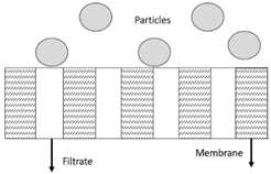 Membranes 13 00373 i008
