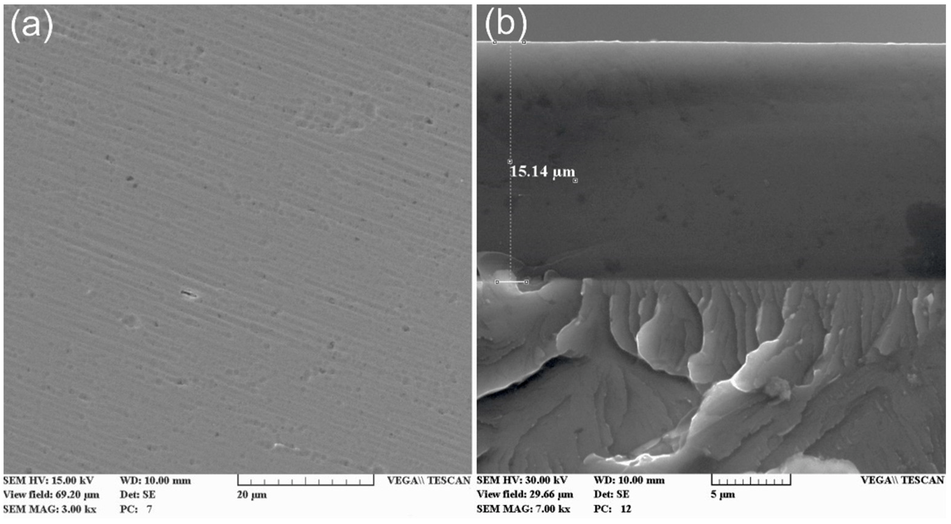 Membranes 13 00374 g009