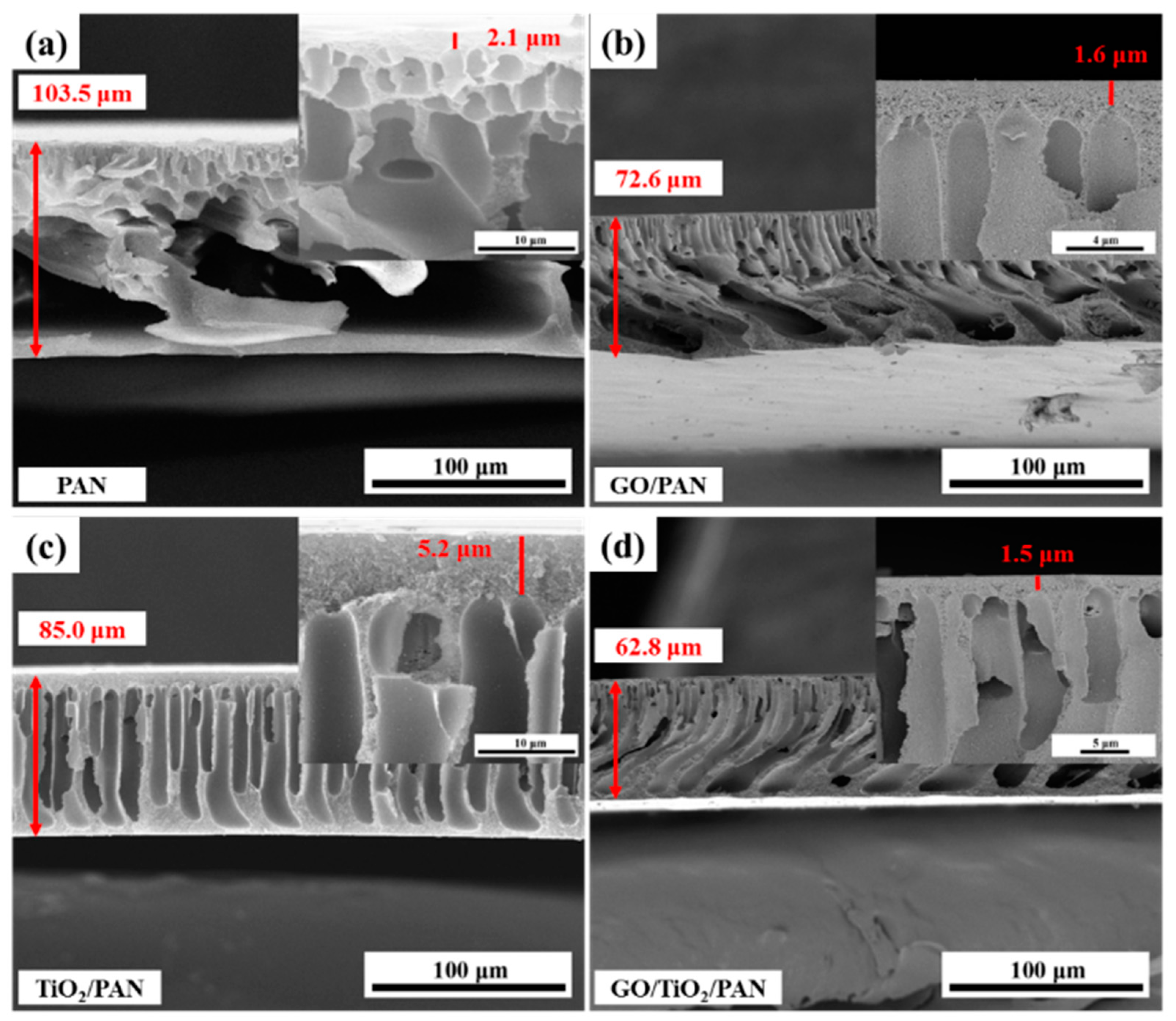Membranes 13 00377 g001 Membranes 13 00377 g001