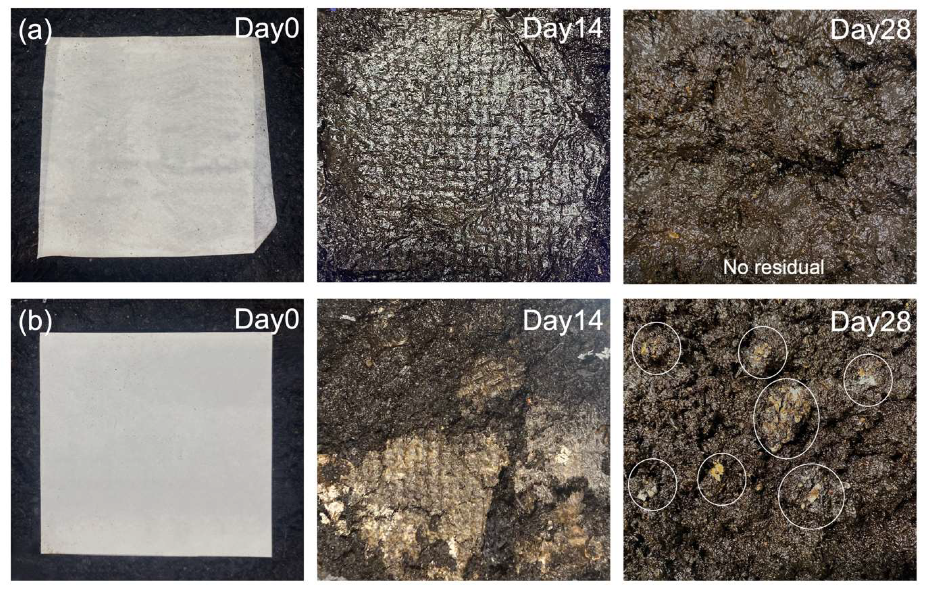 Membranes 13 00380 g007 Membranes 13 00380 g007