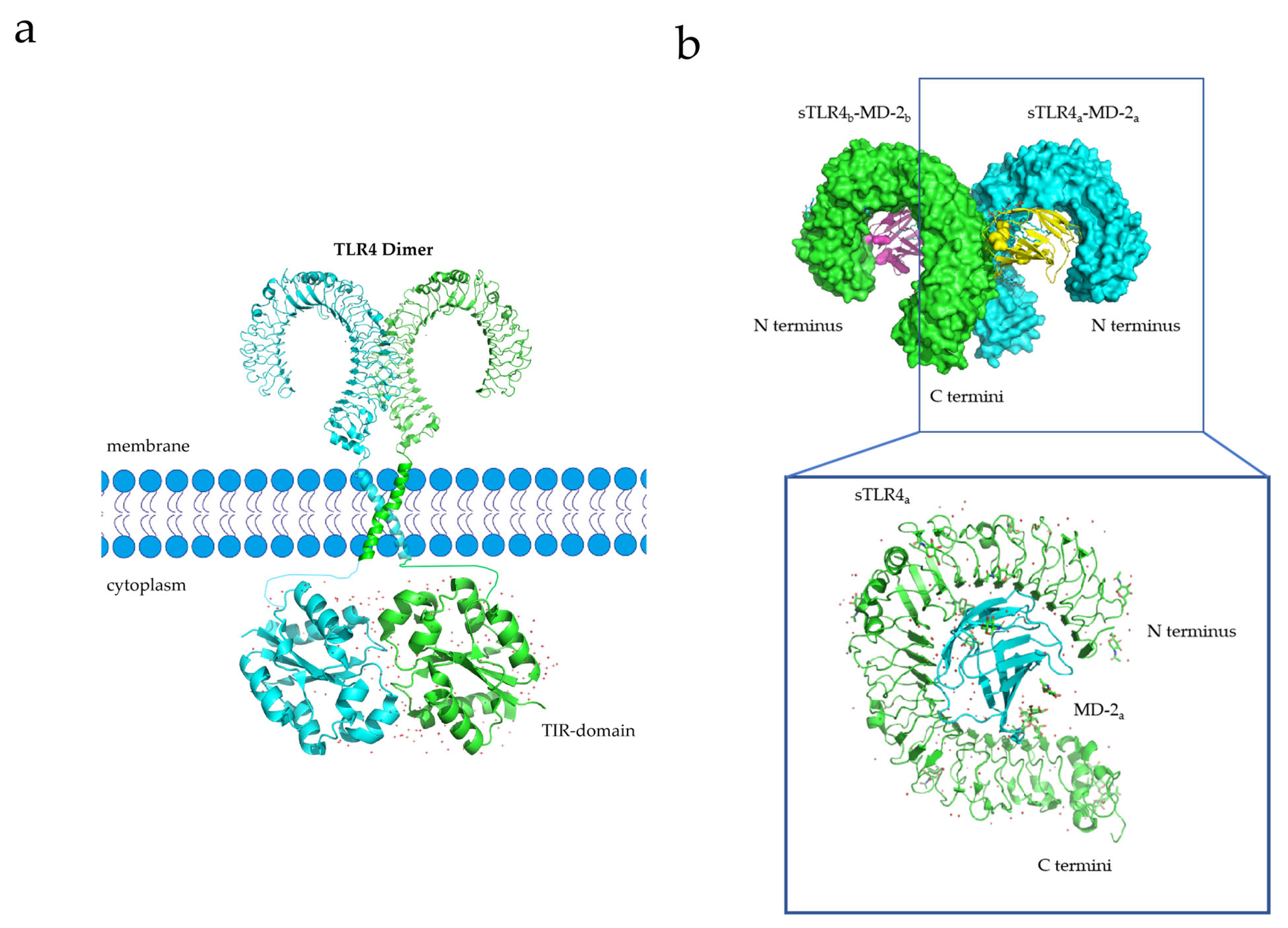 Membranes 13 00393 g003