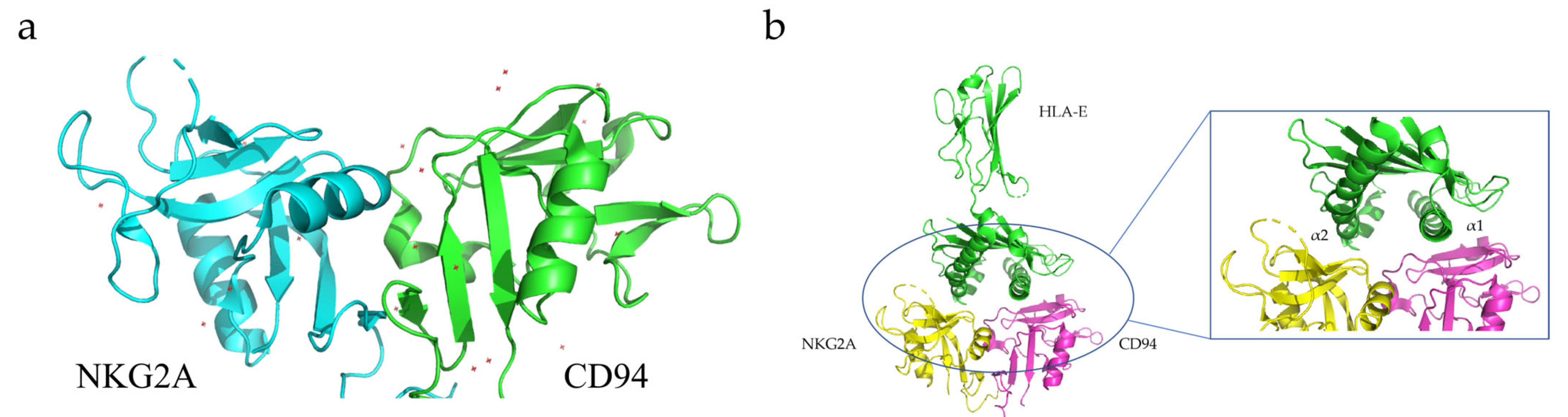 Membranes 13 00393 g005