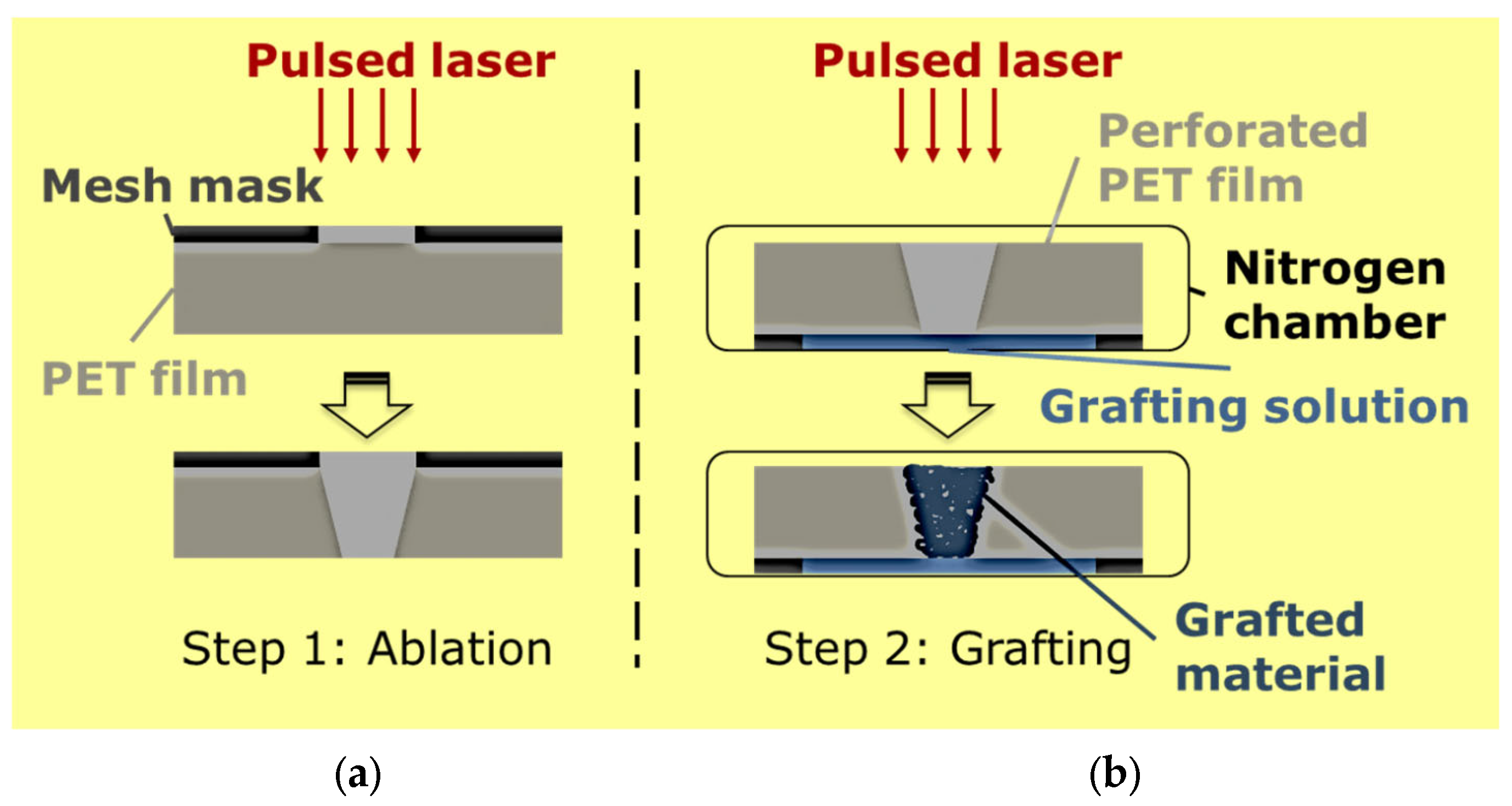 Membranes 13 00398 g002 Membranes 13 00398 g002