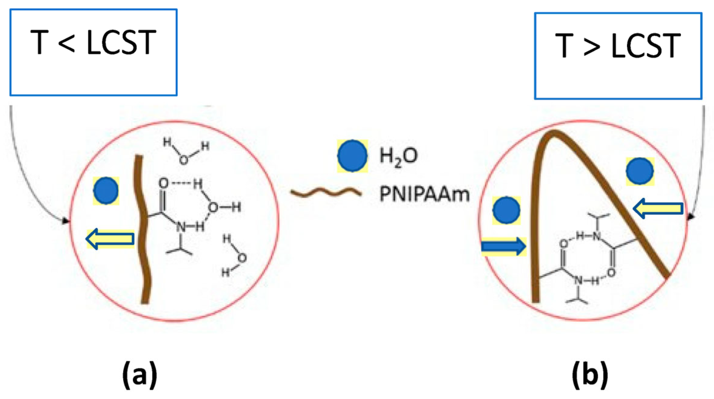 Membranes 13 00398 g004 Membranes 13 00398 g004