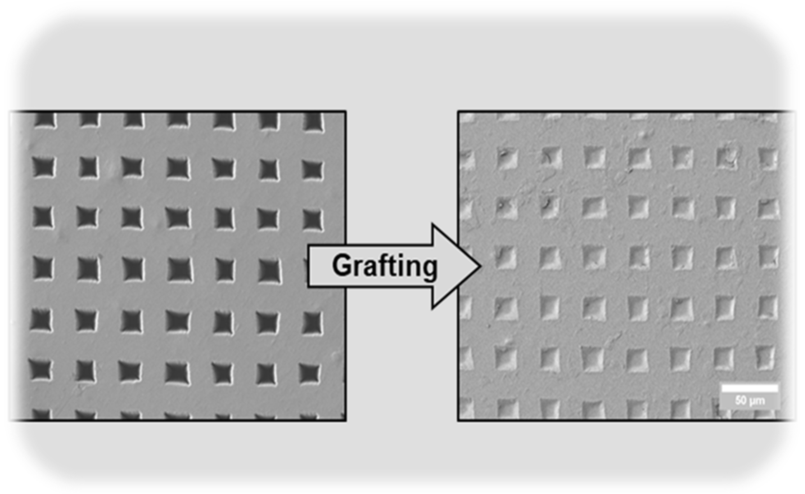 Membranes 13 00398 g011 Membranes 13 00398 g011