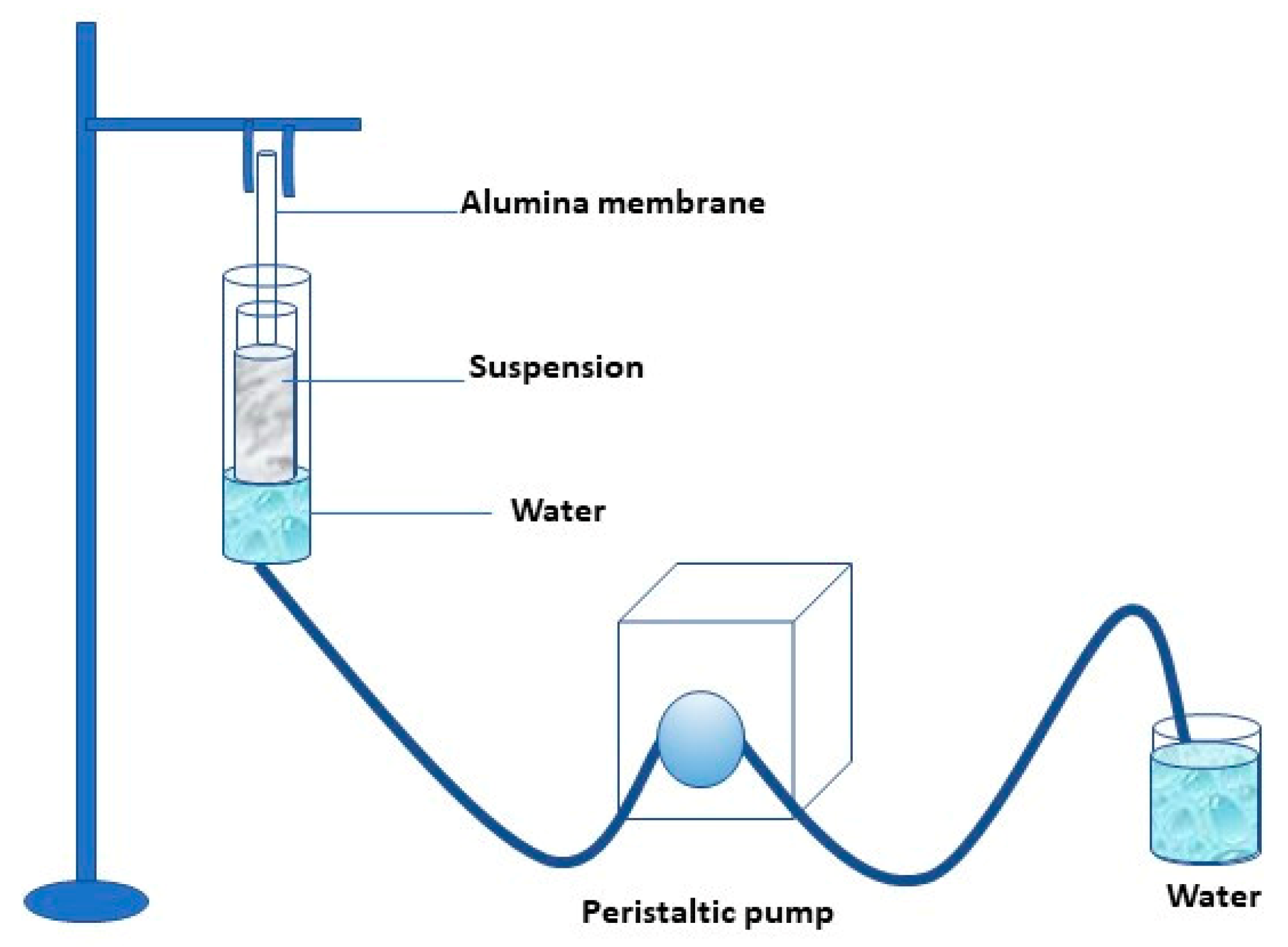 Membranes 13 00400 g001