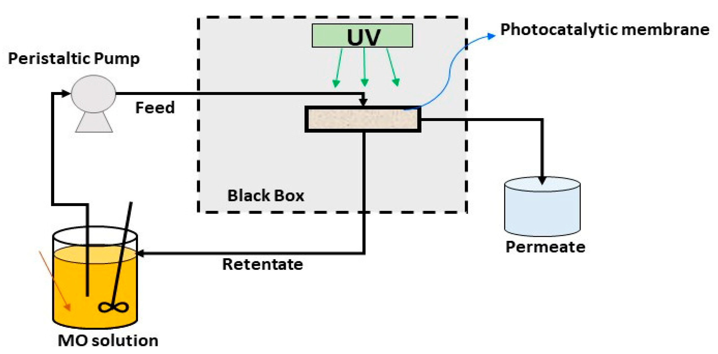 Membranes 13 00400 g002