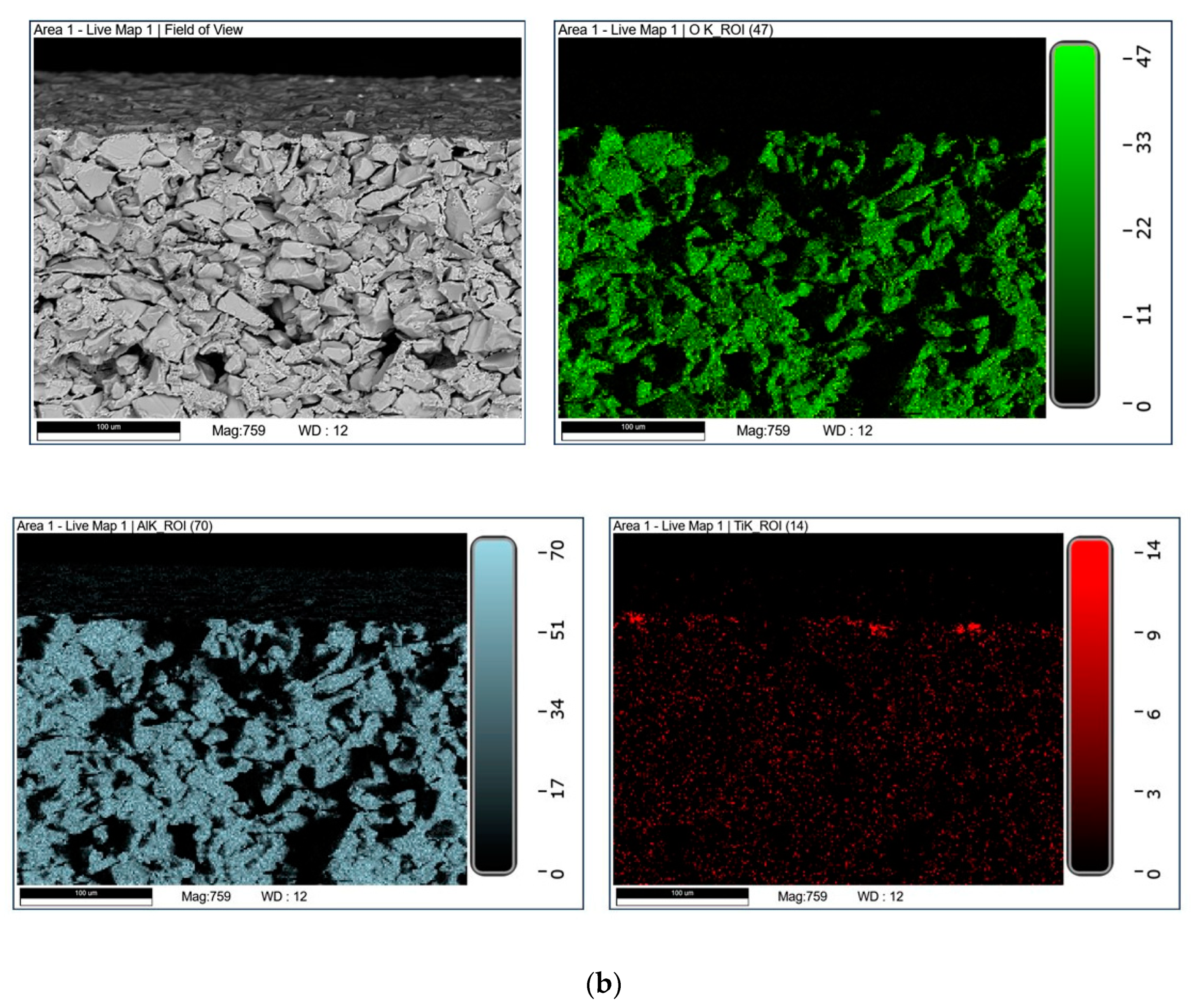 Membranes 13 00400 g006b