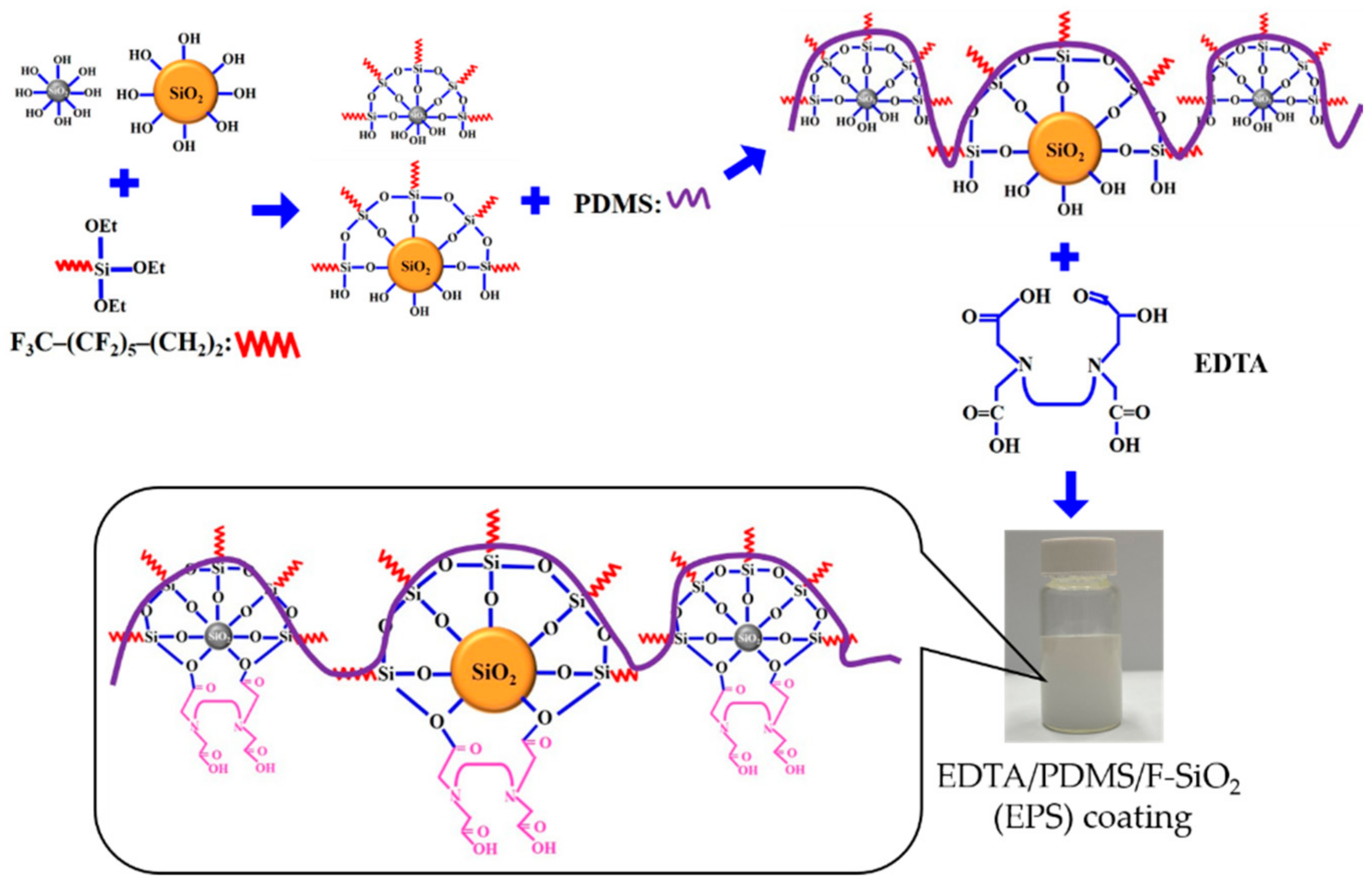 Membranes 13 00401 g001