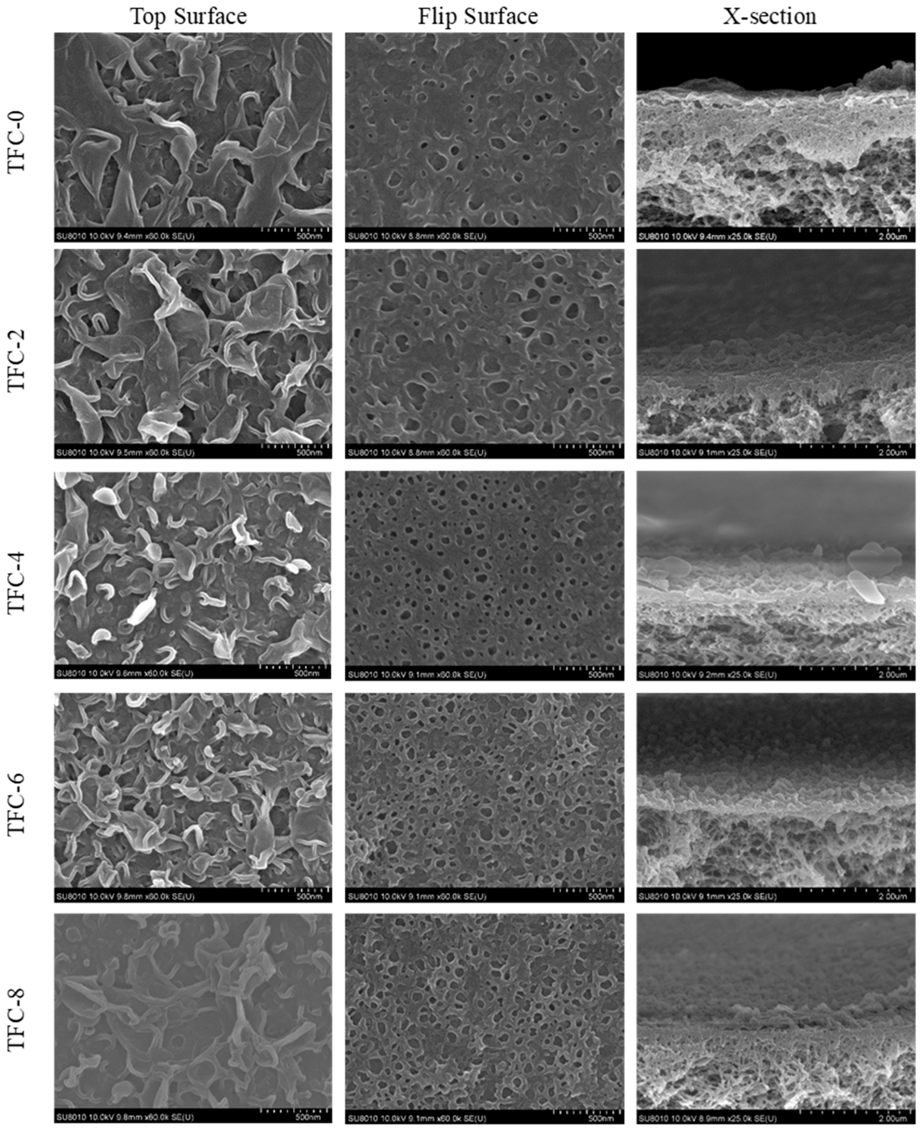Membranes 13 00404 g002 Membranes 13 00404 g002