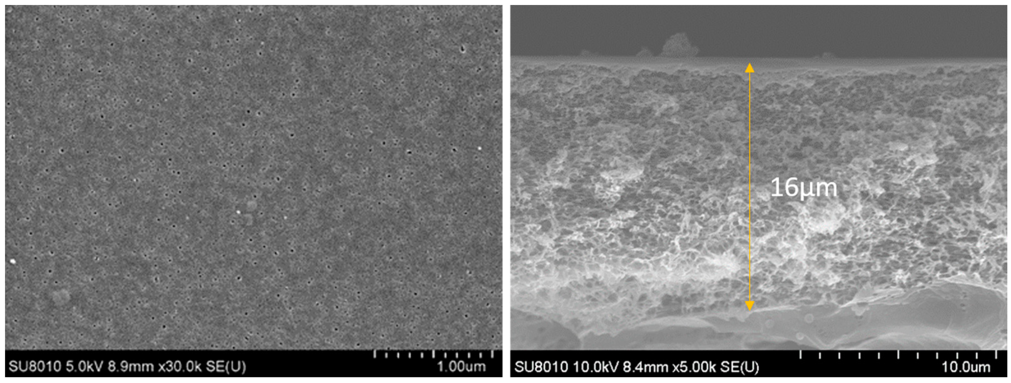 Membranes 13 00404 g003 Membranes 13 00404 g003