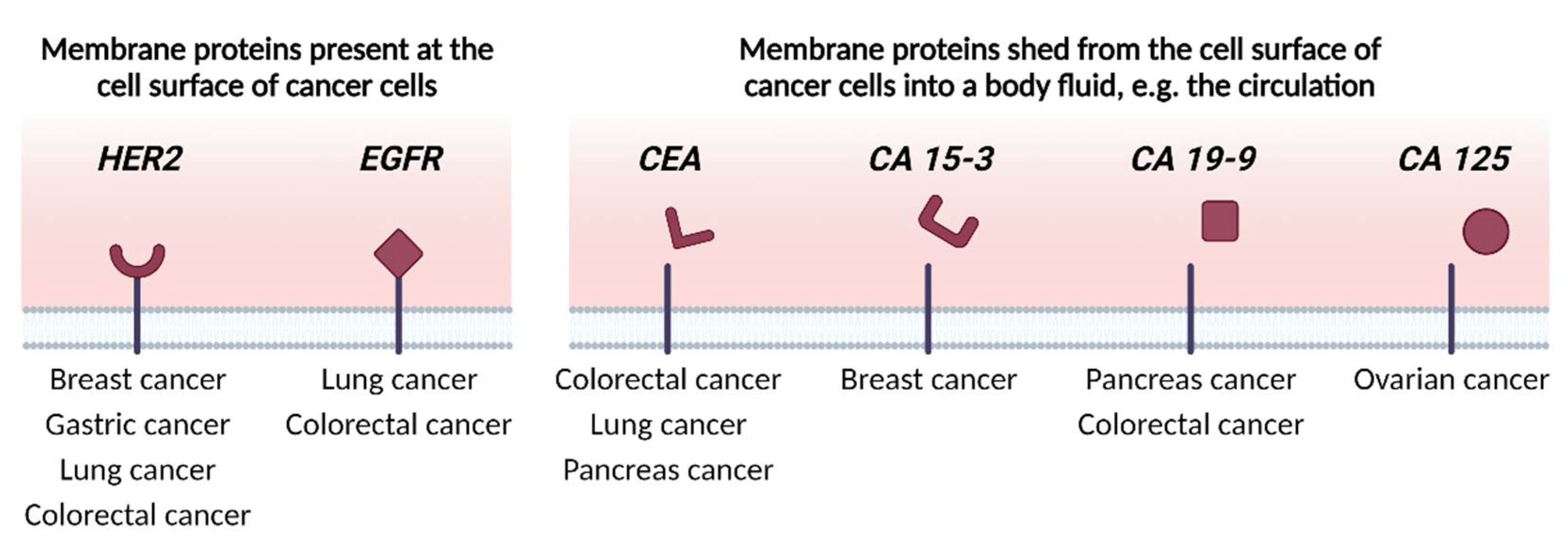 Membranes 13 00409 g004 Membranes 13 00409 g004
