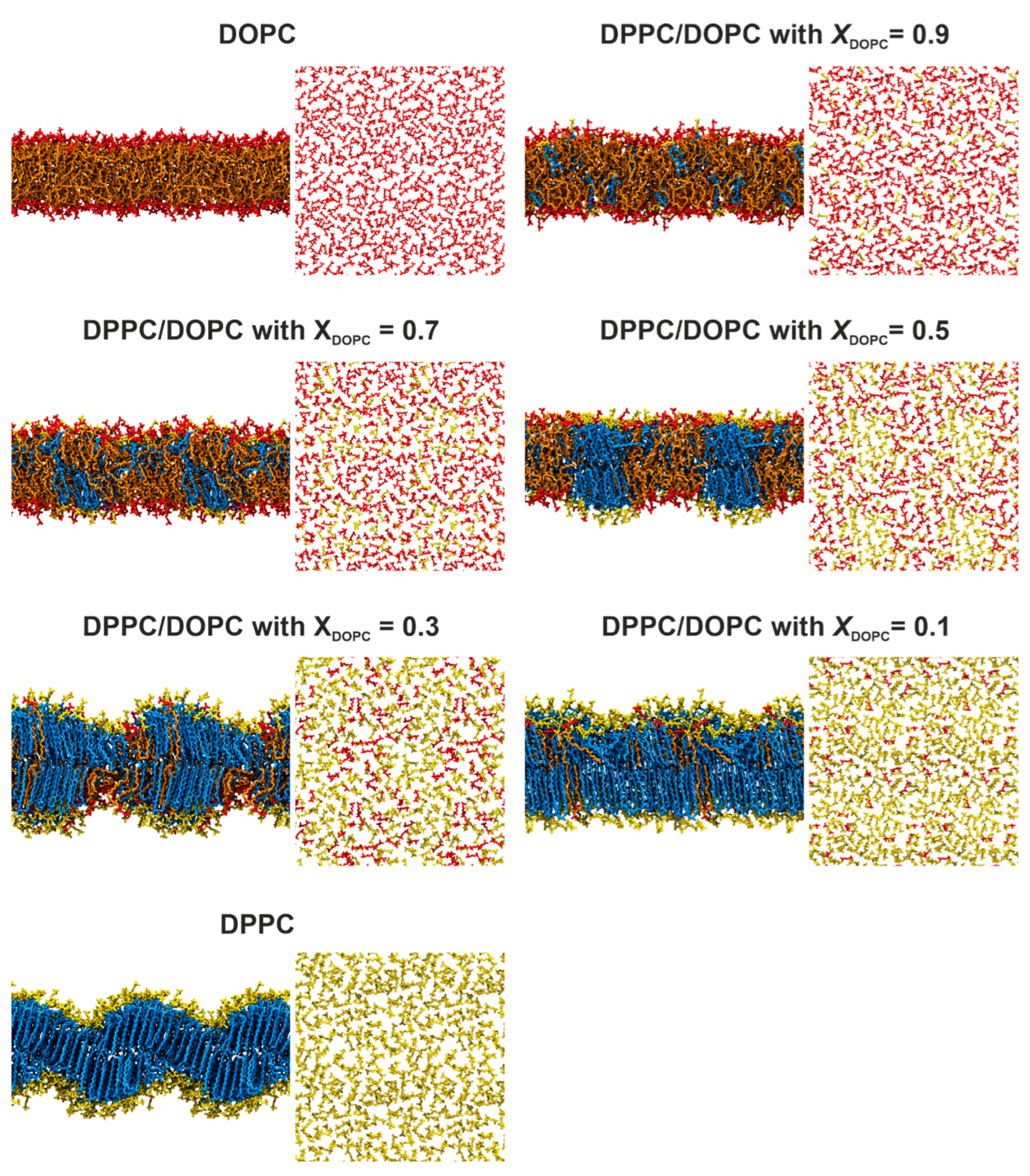 Membranes 13 00411 g003