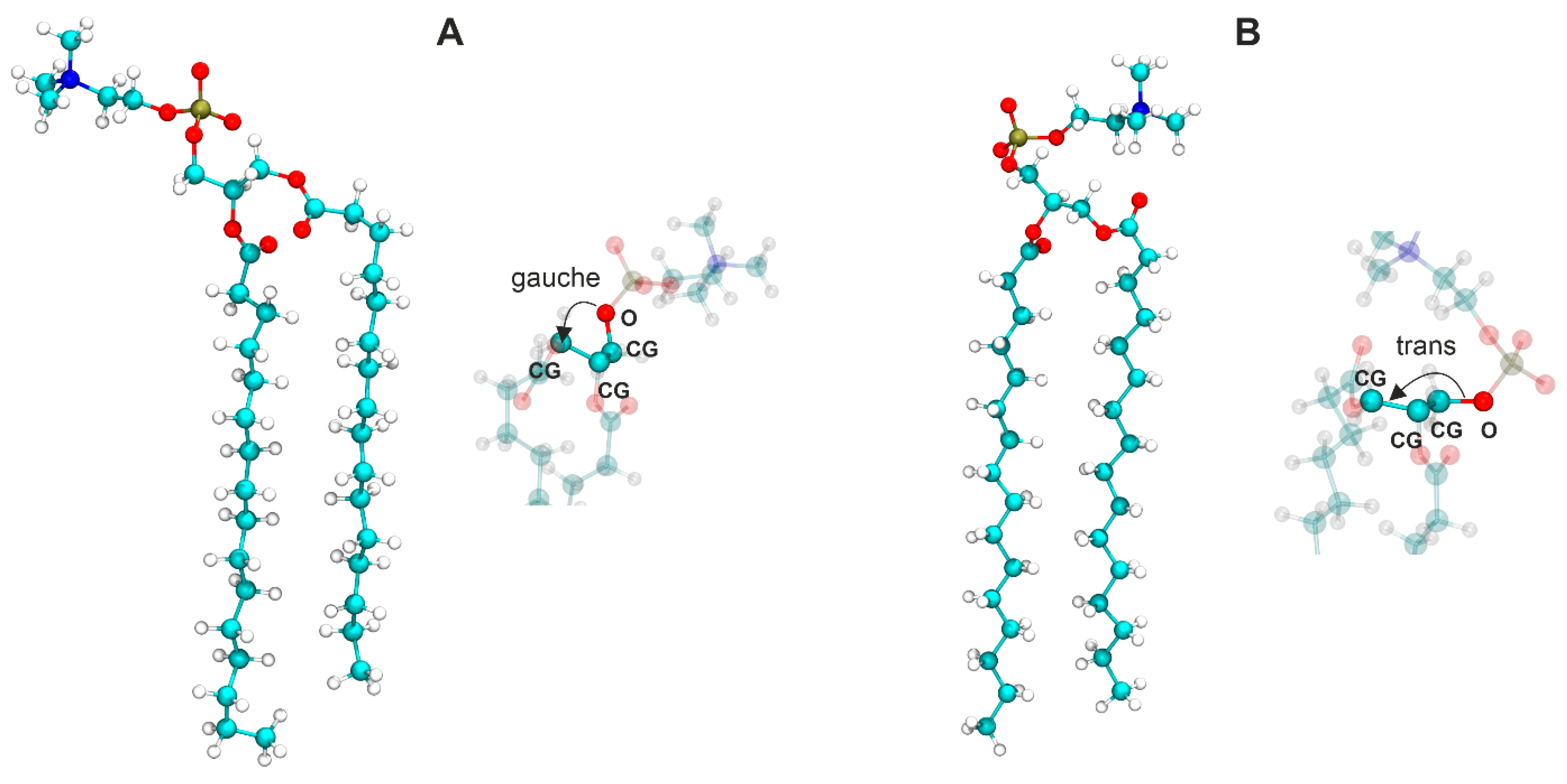 Membranes 13 00411 g007