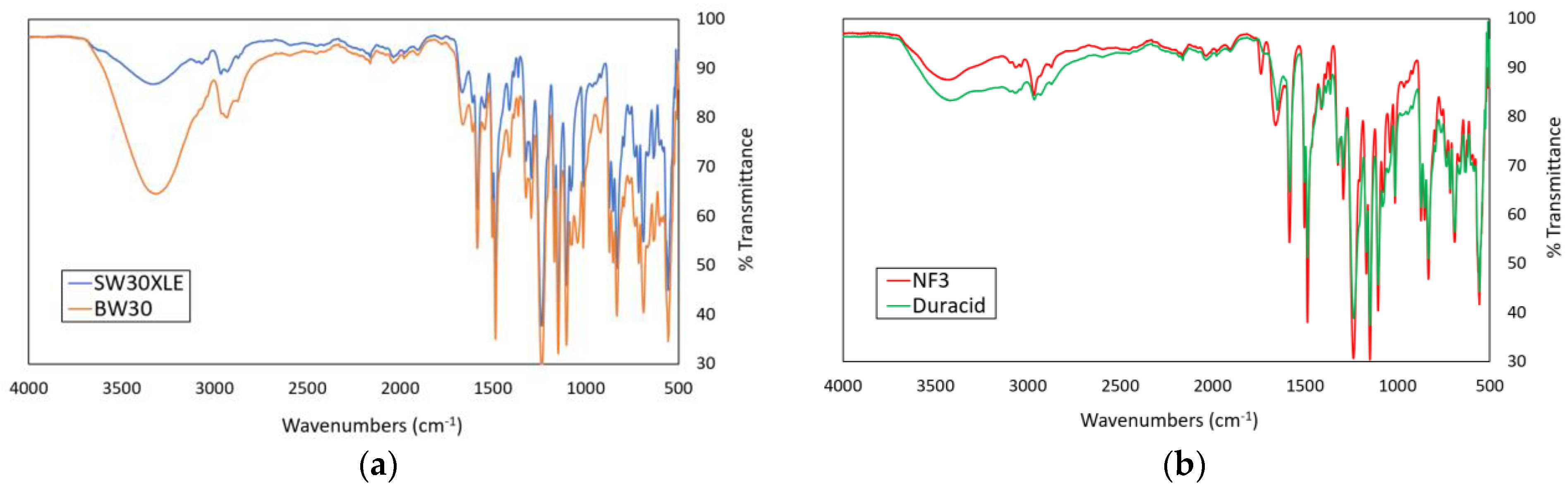 Membranes 13 00413 g002