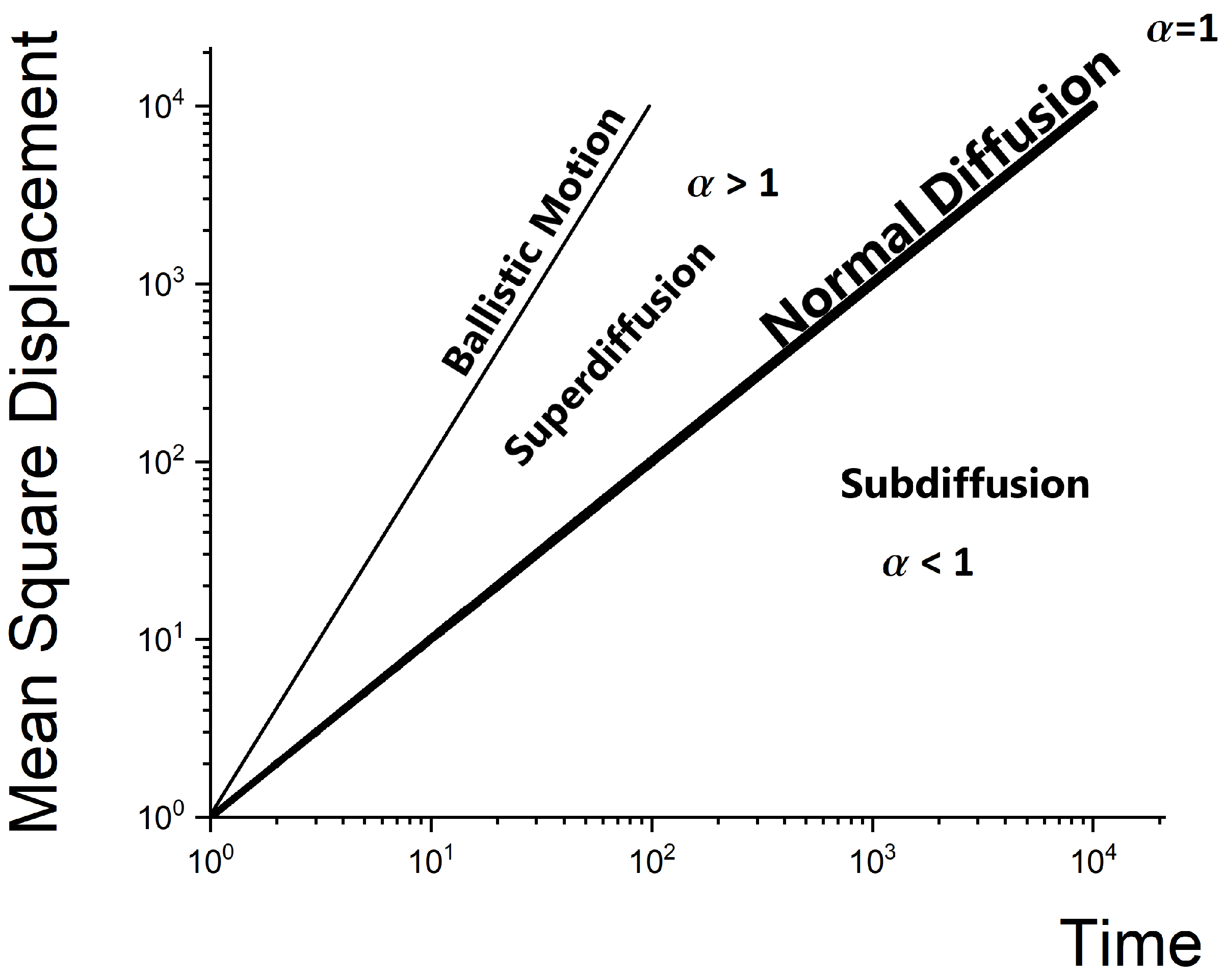 Membranes 13 00417 g001