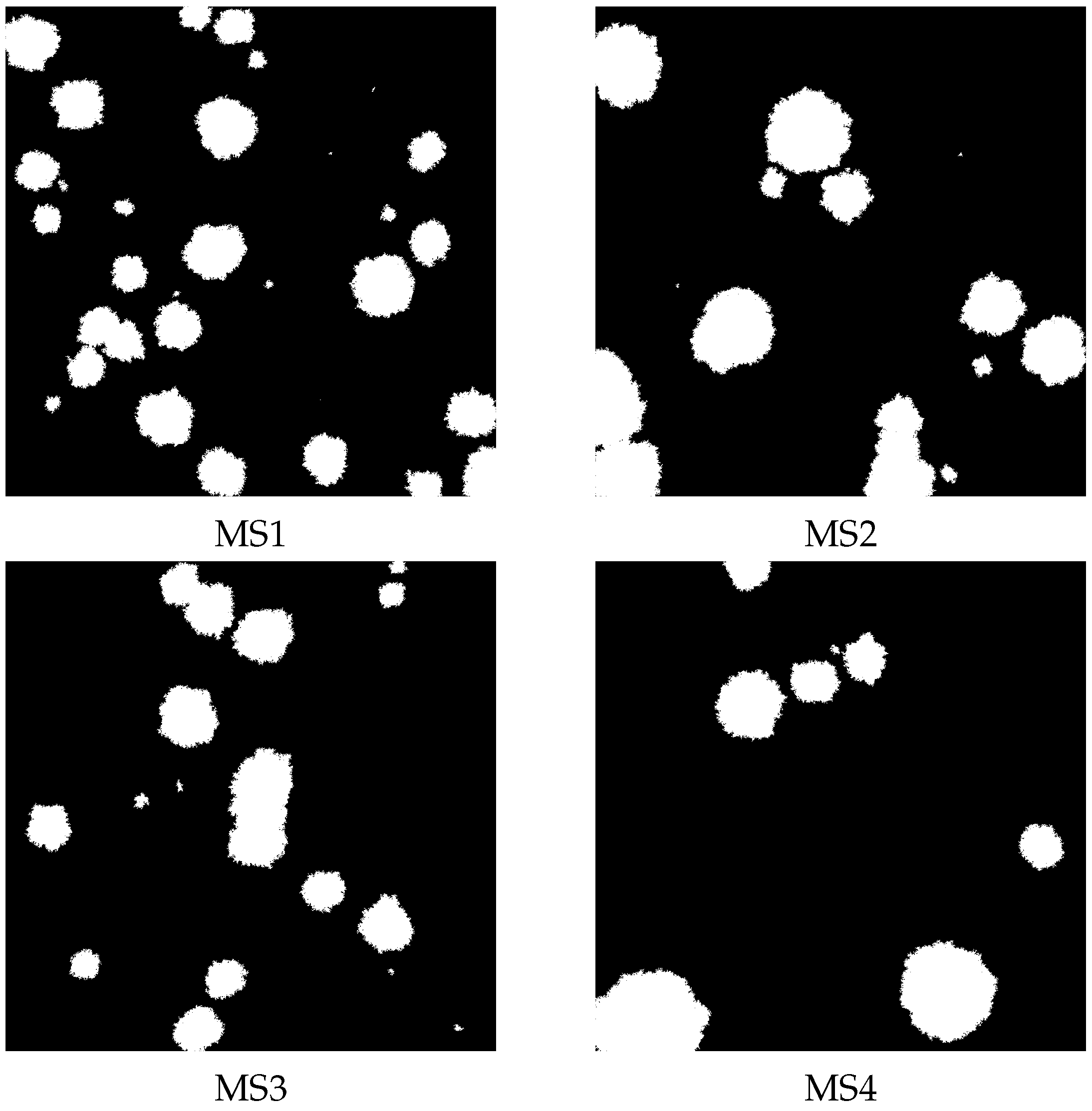 Membranes 13 00417 g003