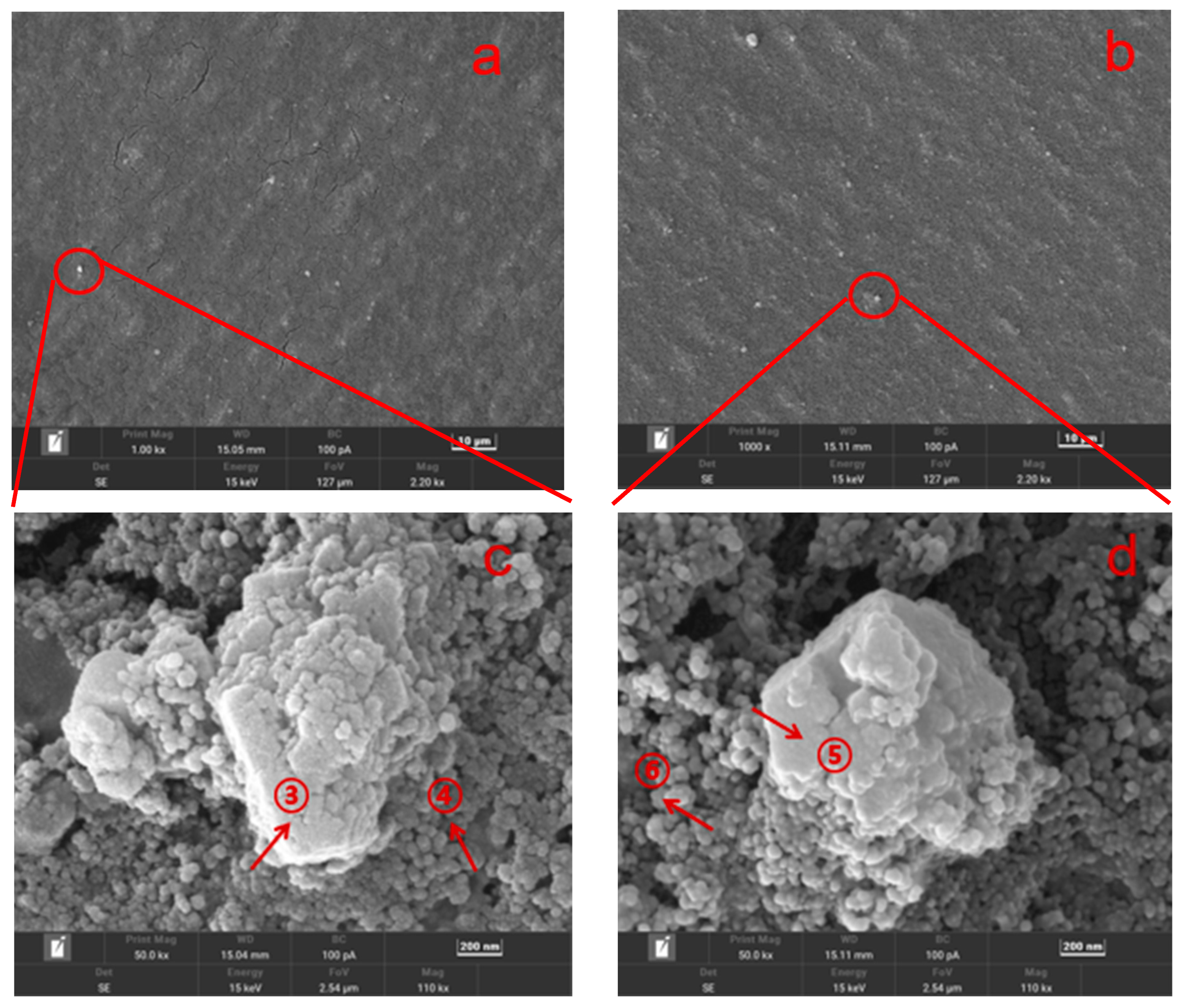 Membranes 13 00420 g005