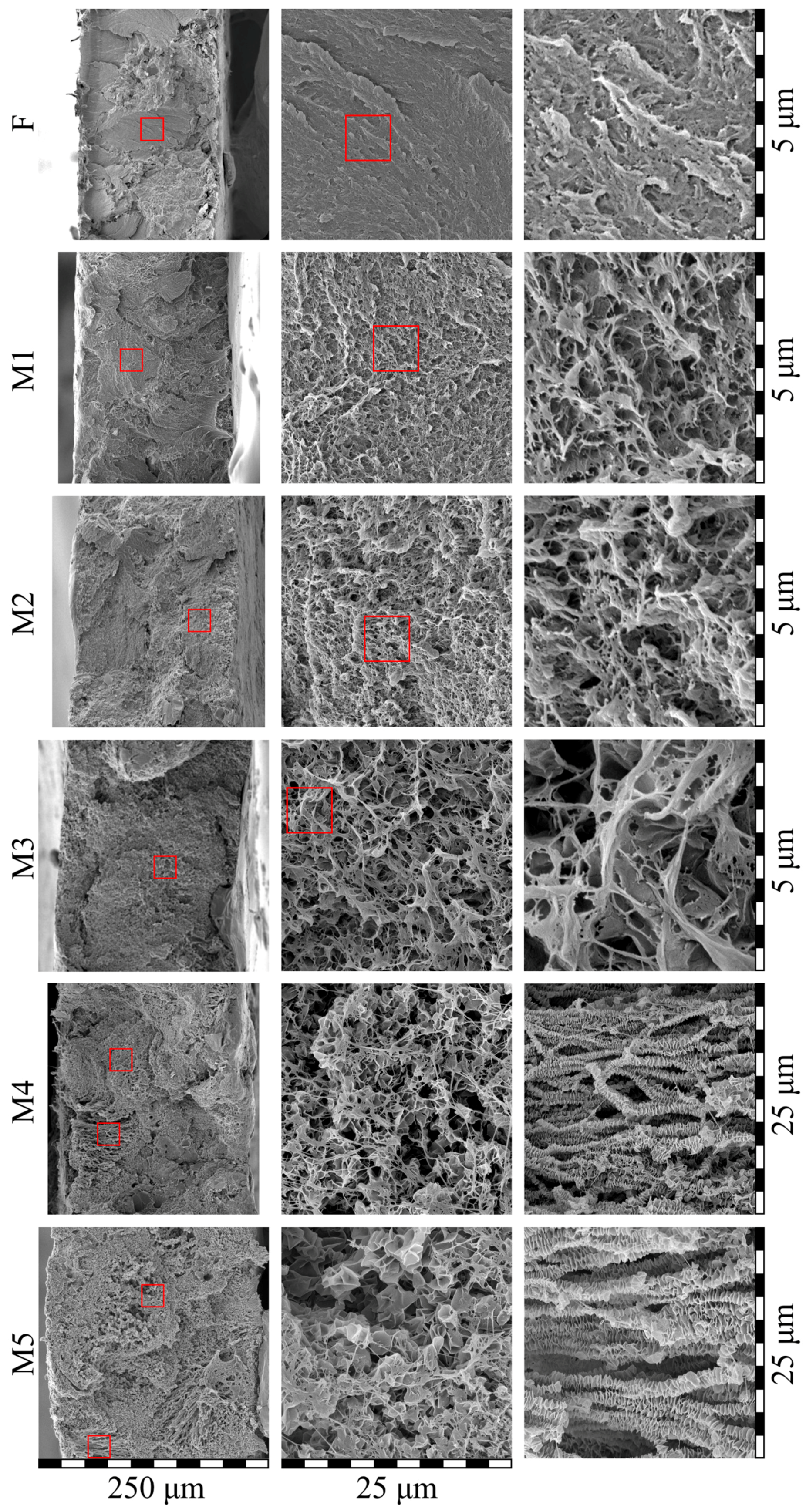 Membranes 13 00422 g008 Membranes 13 00422 g008