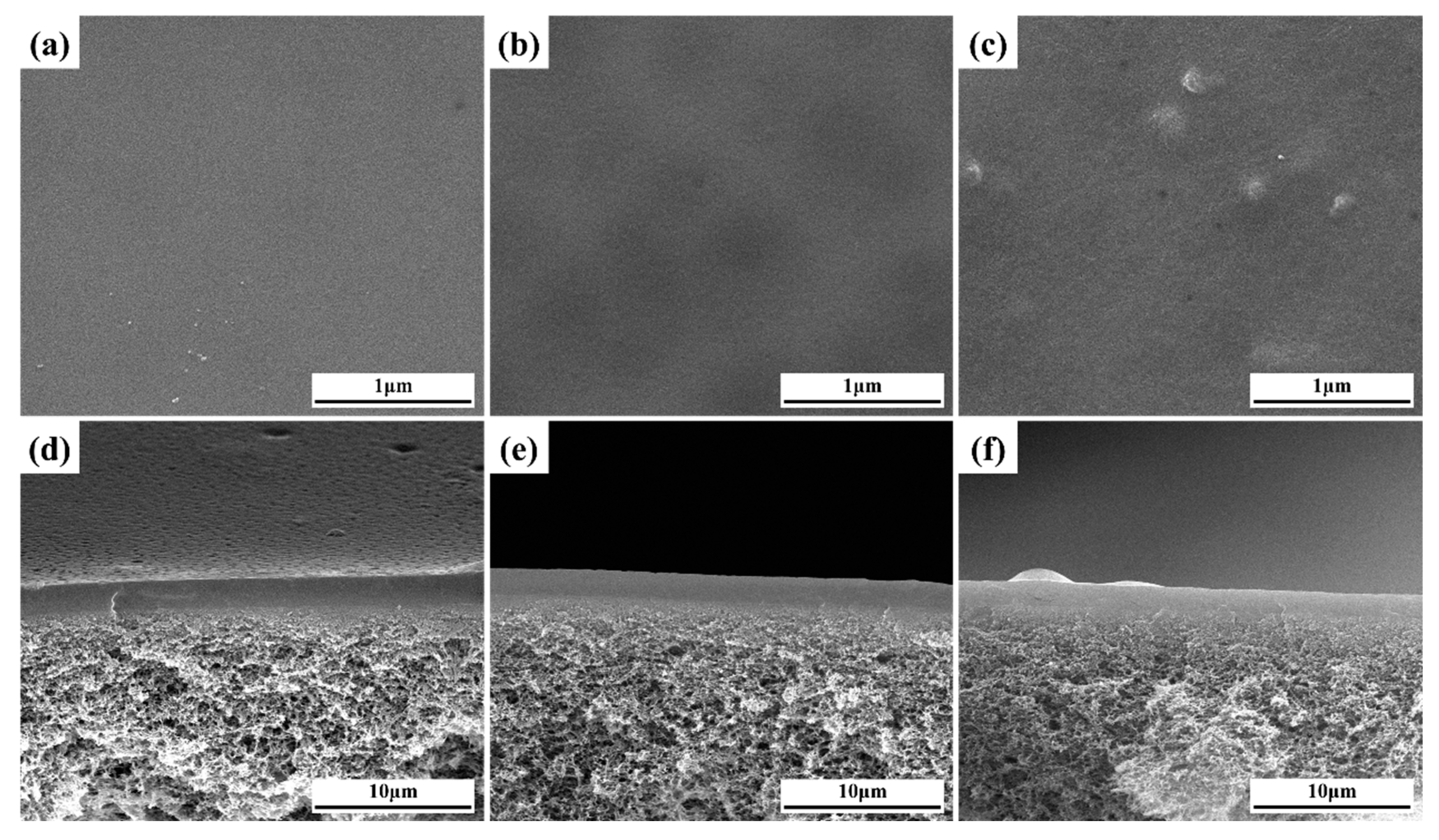 Membranes 13 00430 g004 Membranes 13 00430 g004