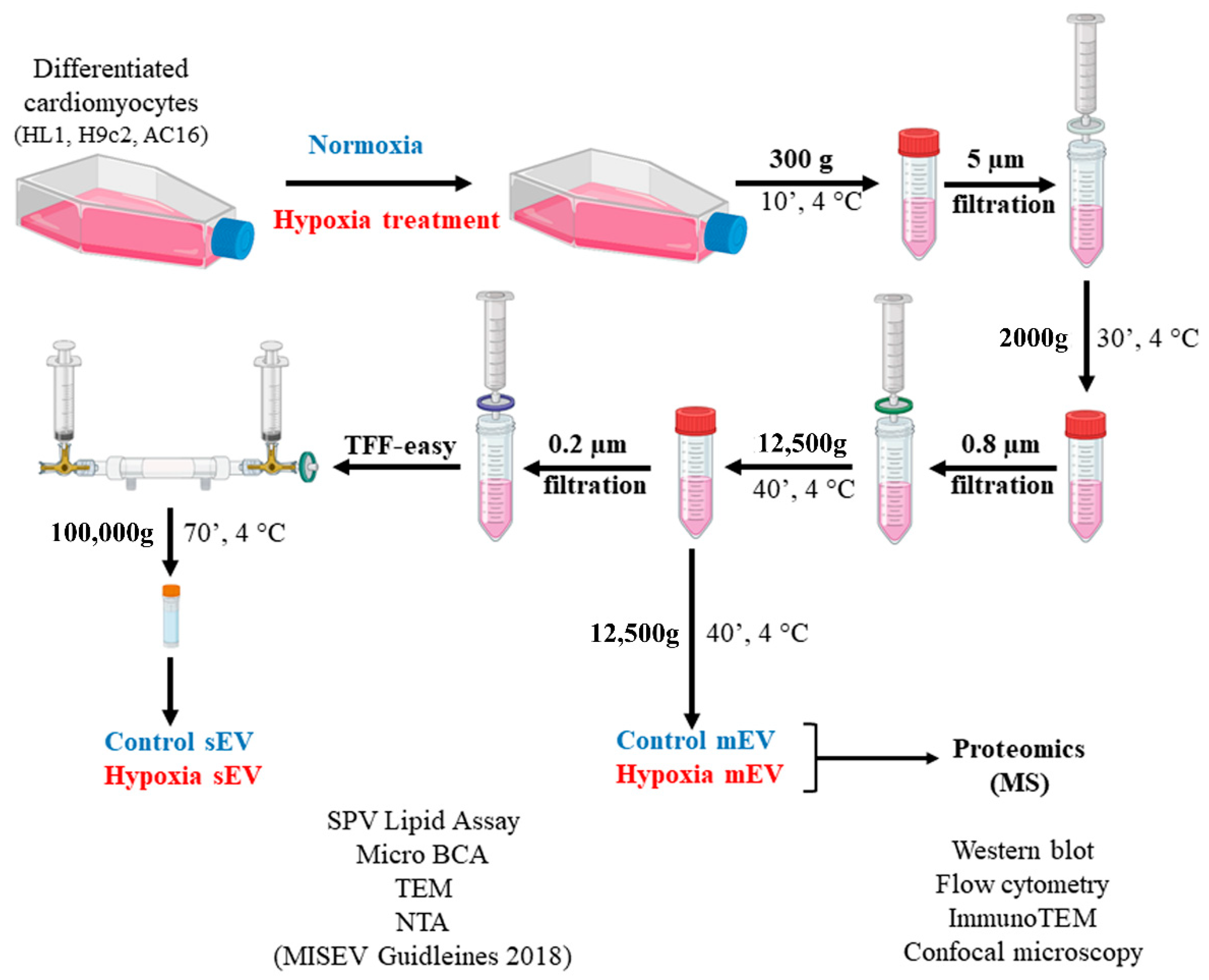Membranes 13 00431 g001 Membranes 13 00431 g001