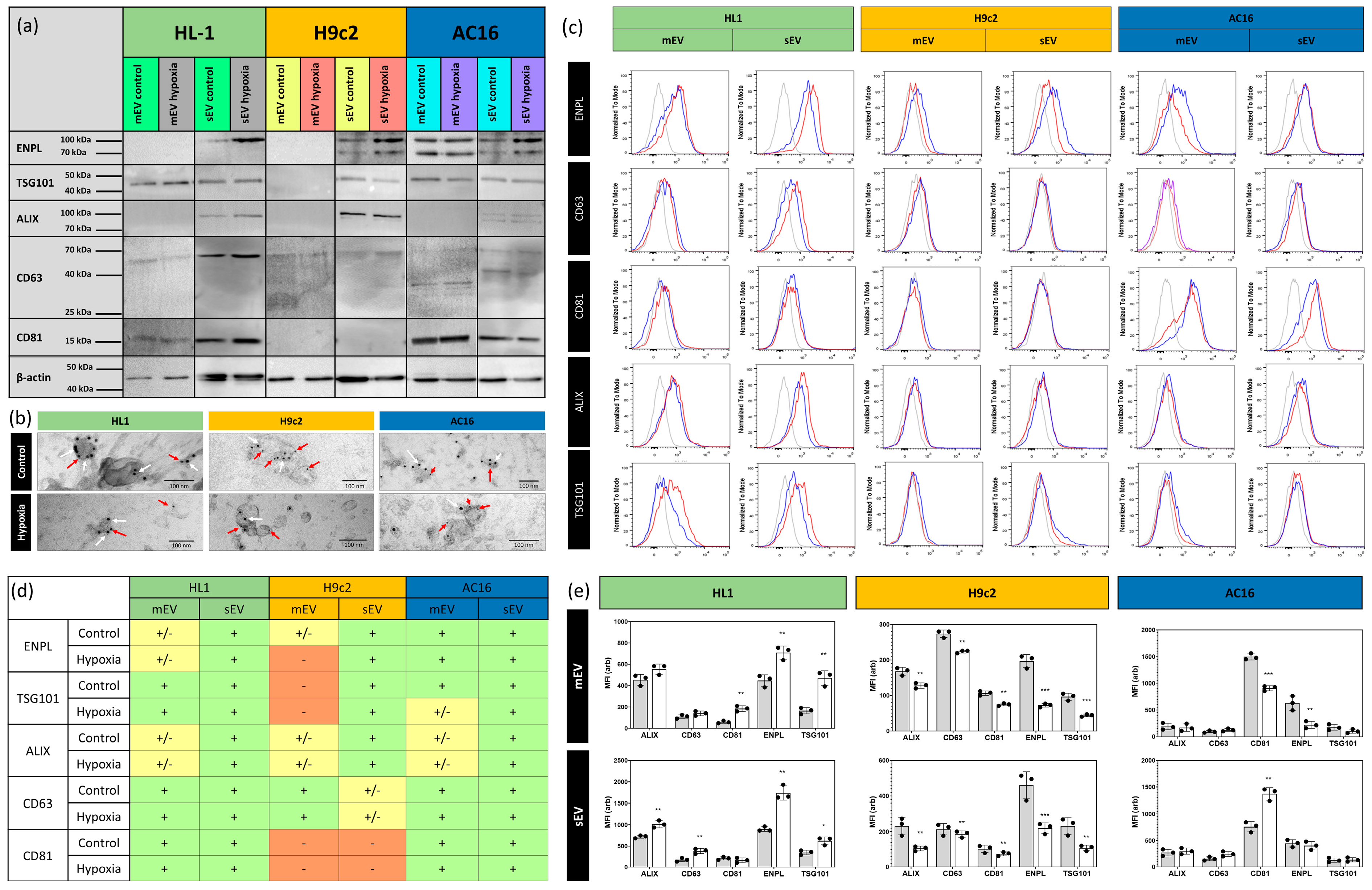 Membranes 13 00431 g004 Membranes 13 00431 g004