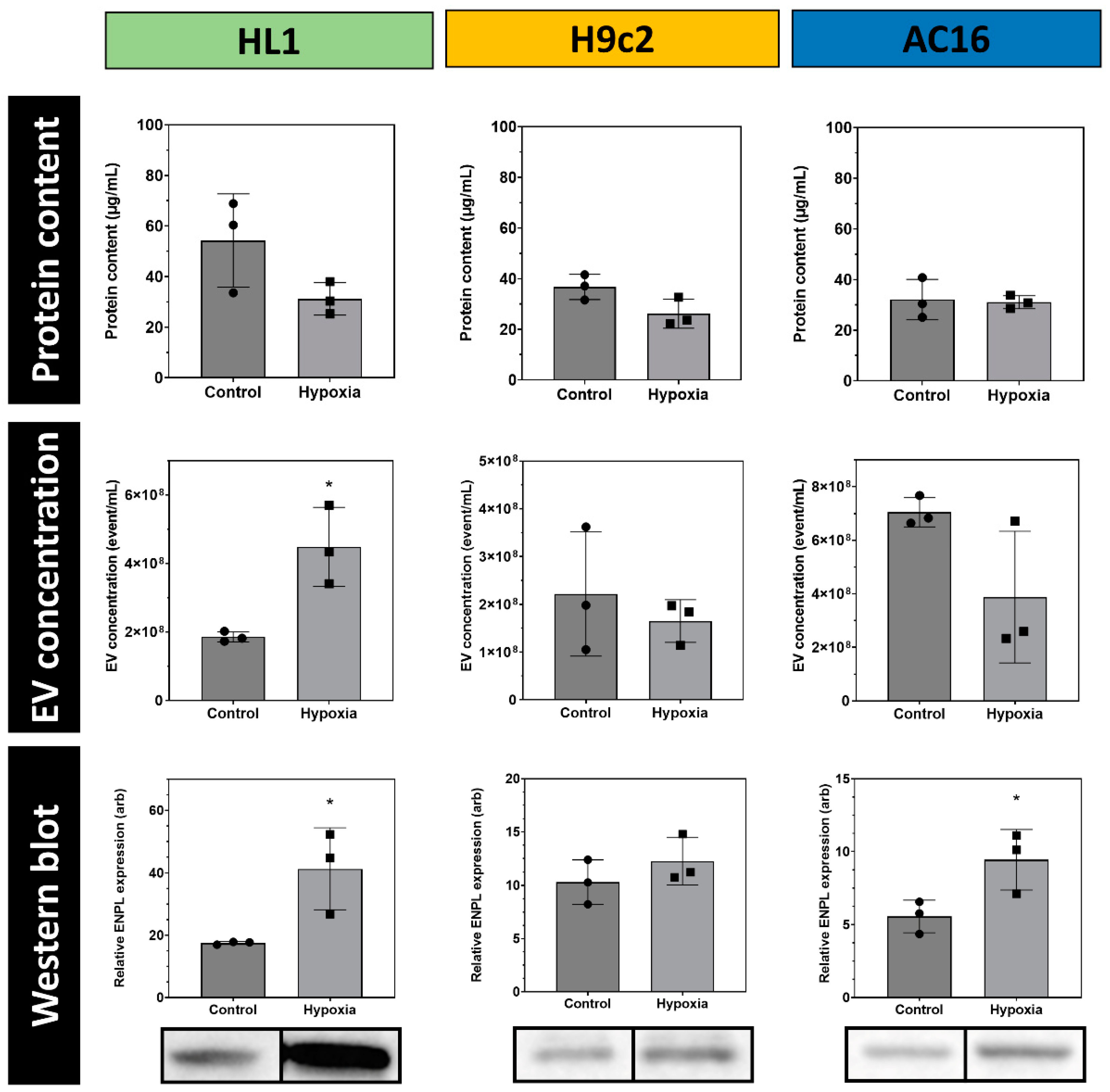 Membranes 13 00431 g005 Membranes 13 00431 g005