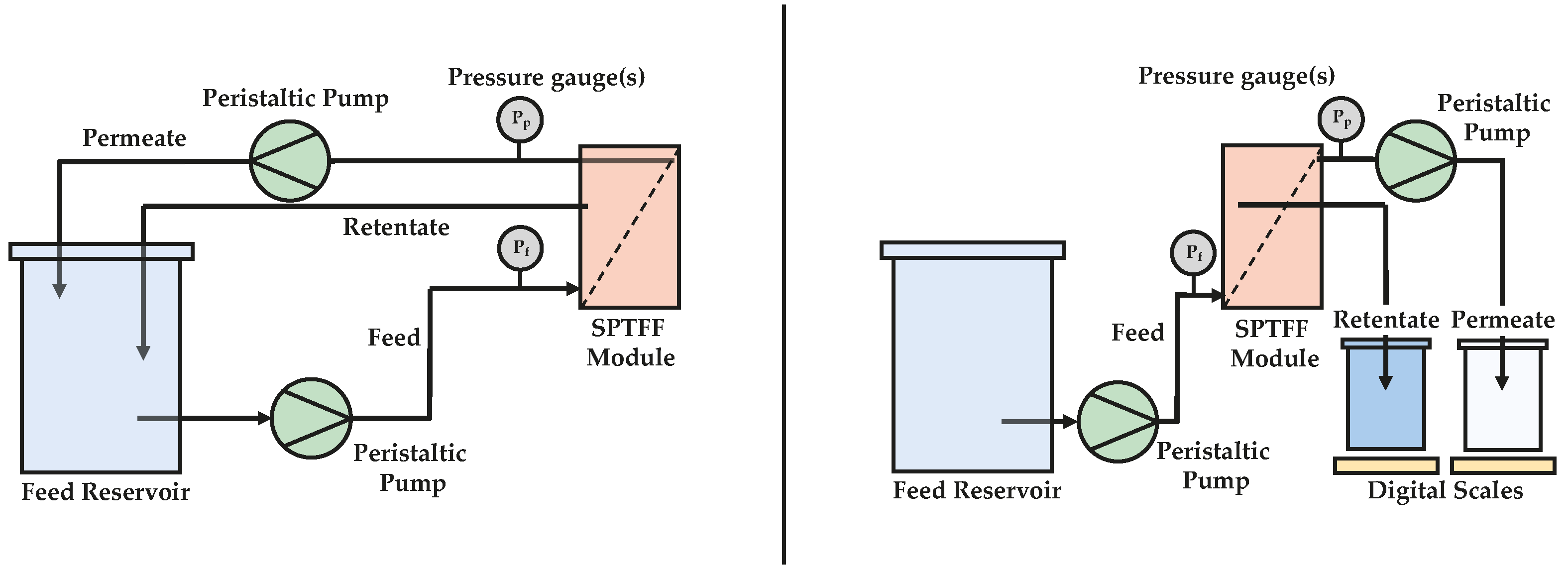 Membranes Free FullText SinglePass Tangential Flow Filtration