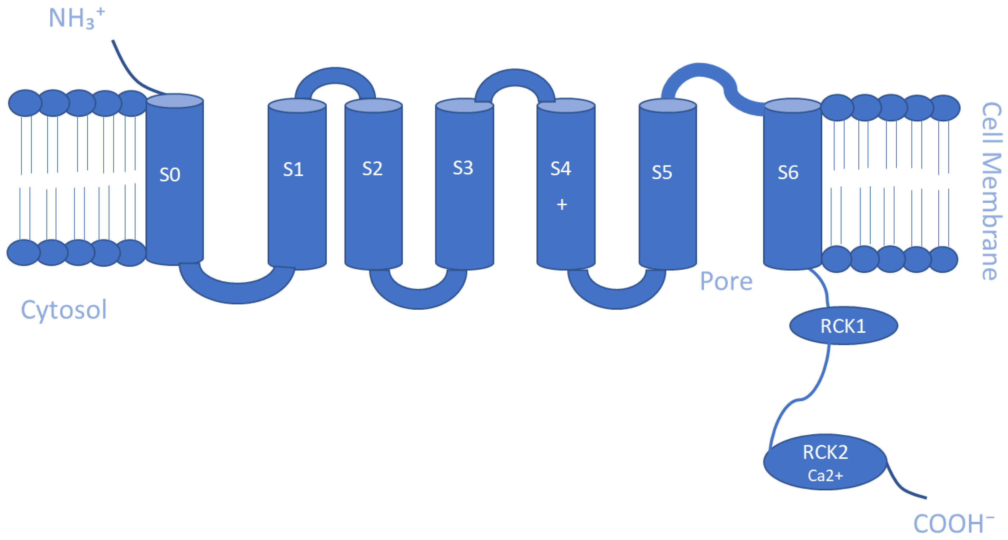Membranes 13 00434 g002 Membranes 13 00434 g002
