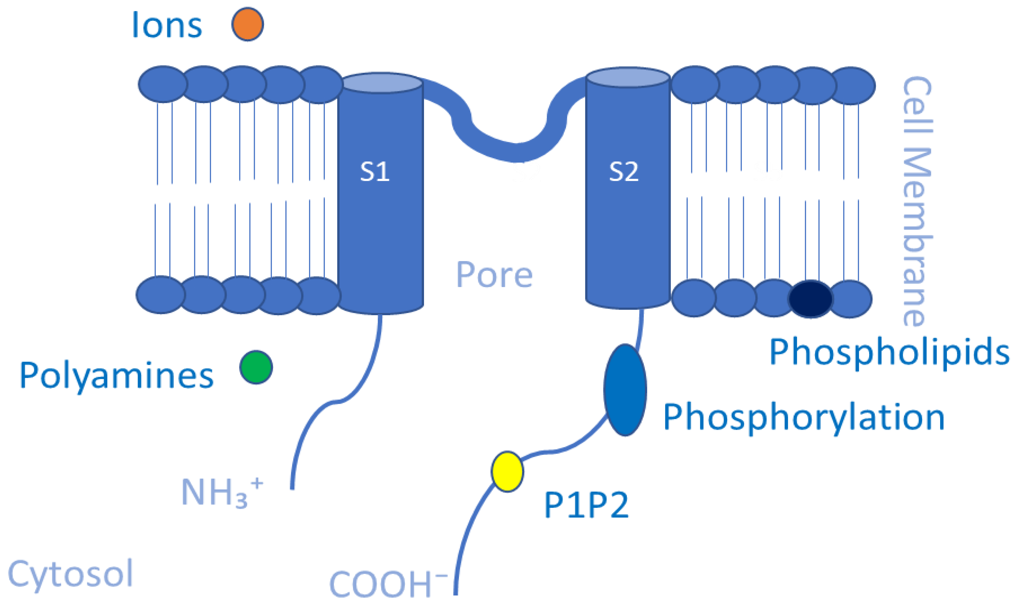 Membranes 13 00434 g004 Membranes 13 00434 g004