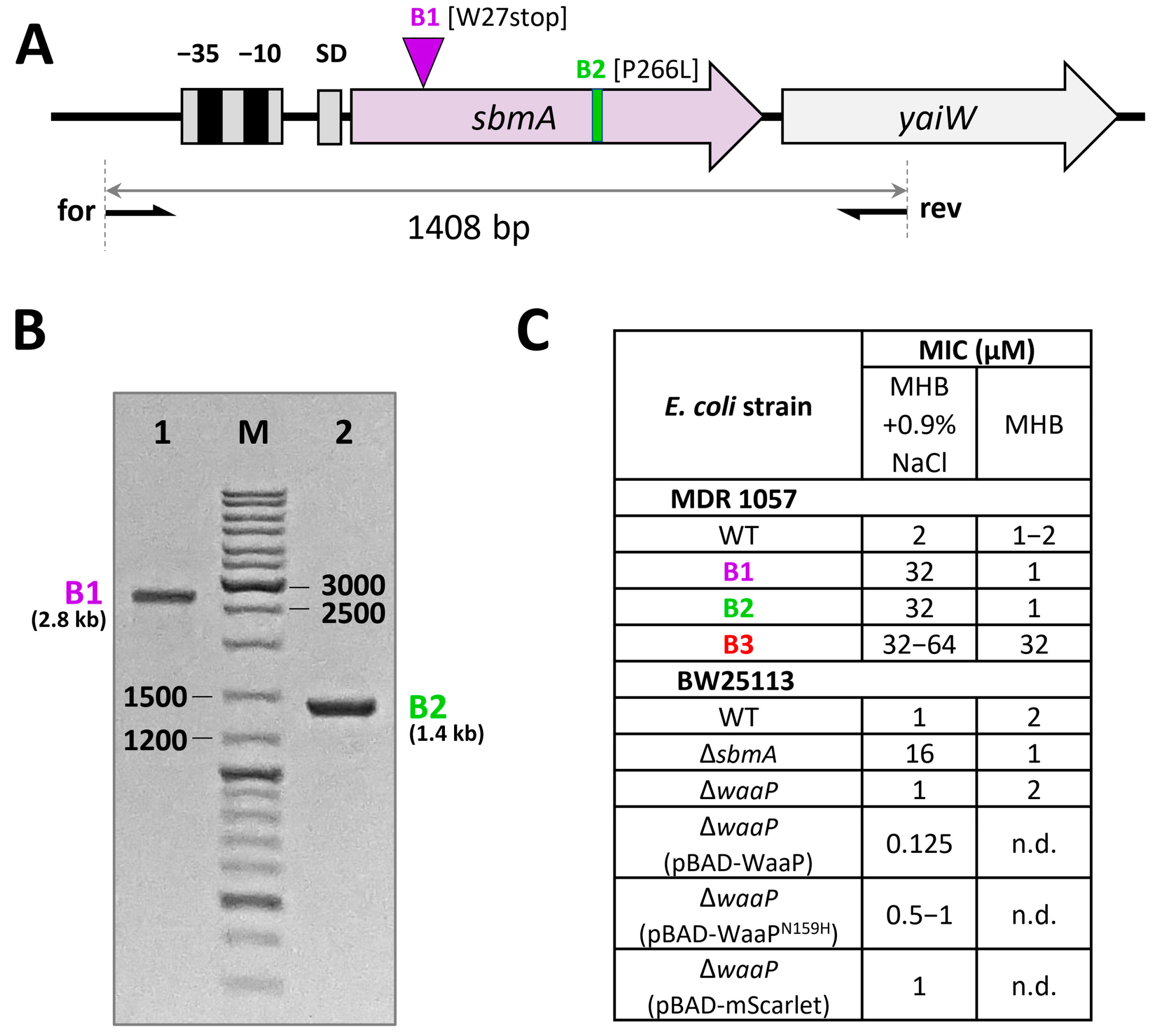 Membranes 13 00438 g003 Membranes 13 00438 g003