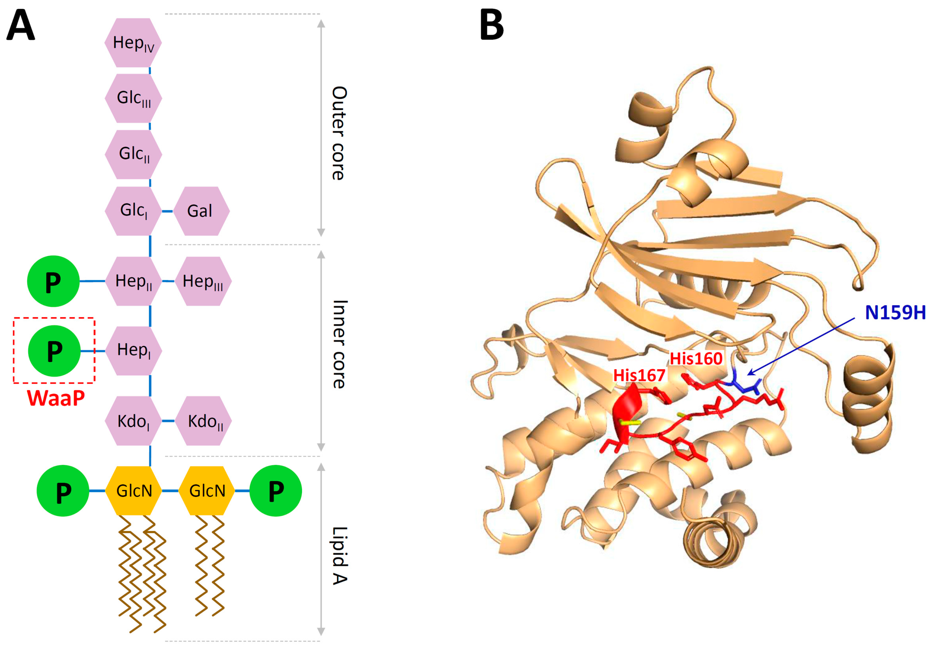 Membranes 13 00438 g004 Membranes 13 00438 g004