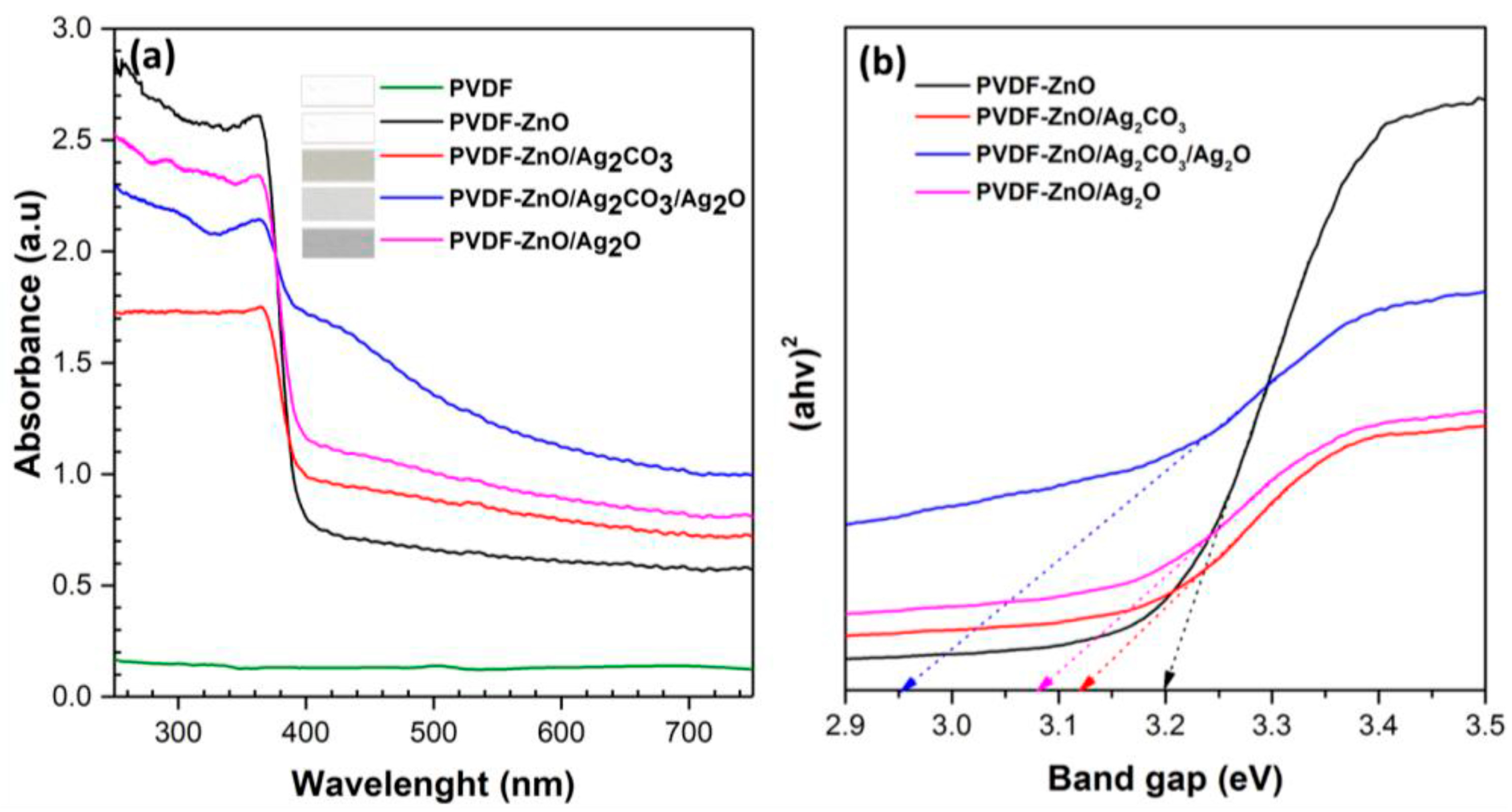 Membranes 13 00441 g002 Membranes 13 00441 g002