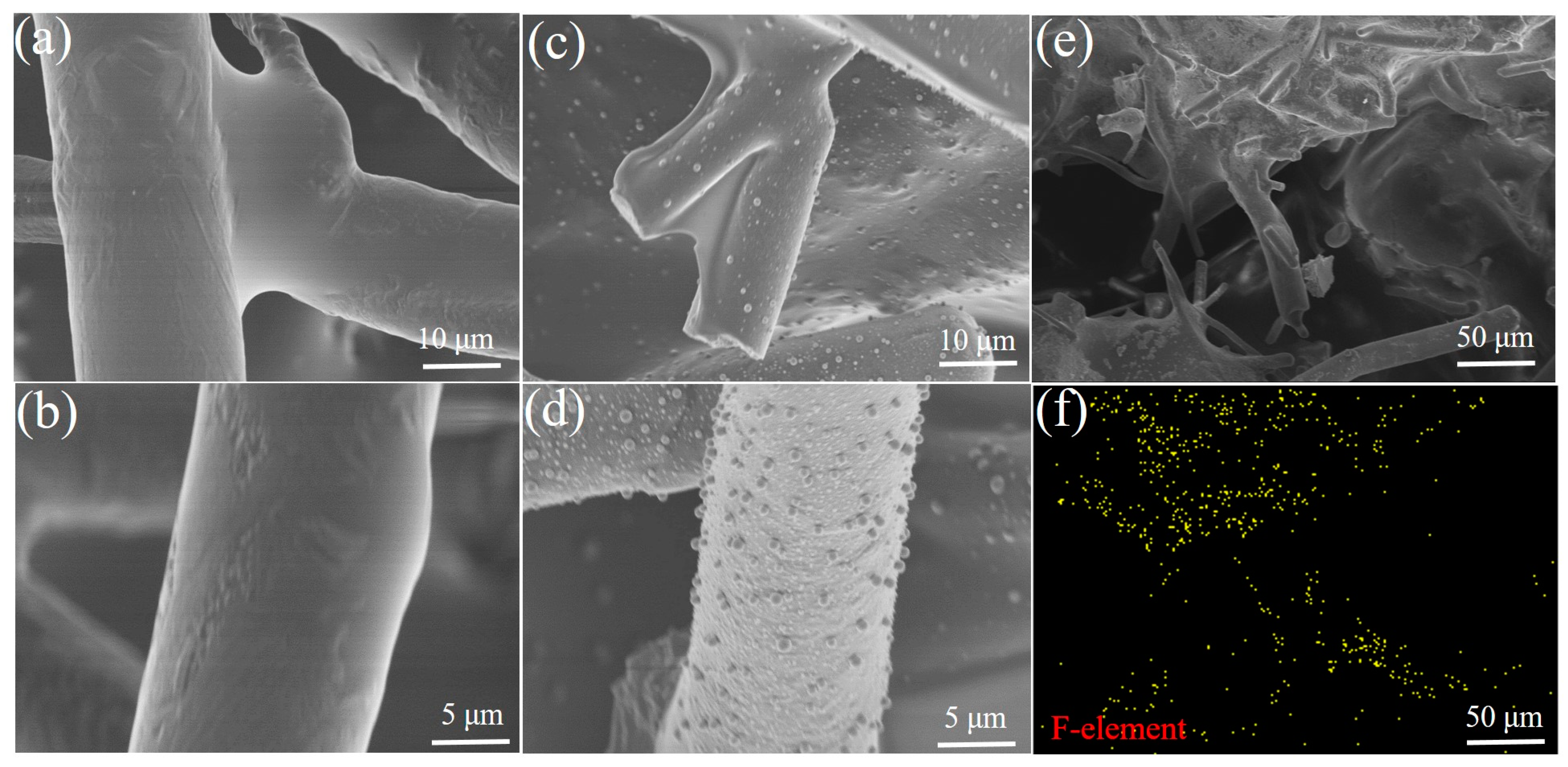 Membranes 13 00443 g002