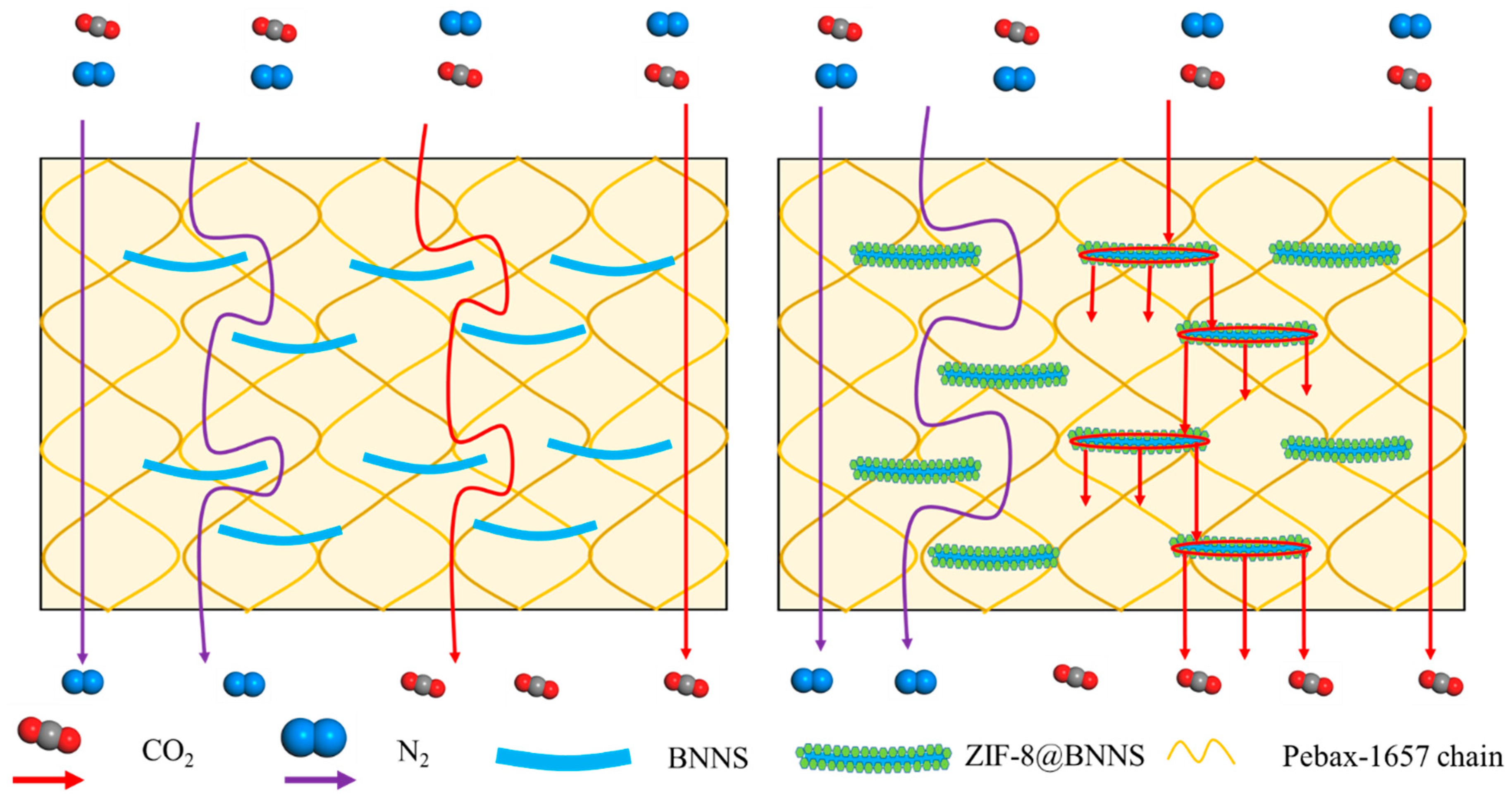 Membranes 13 00444 g008 Membranes 13 00444 g008