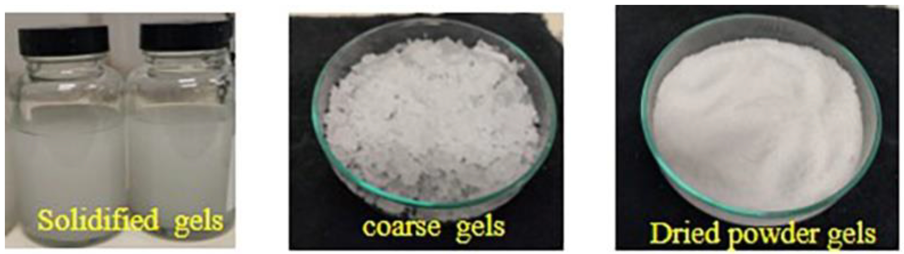 Membranes 13 00445 g001