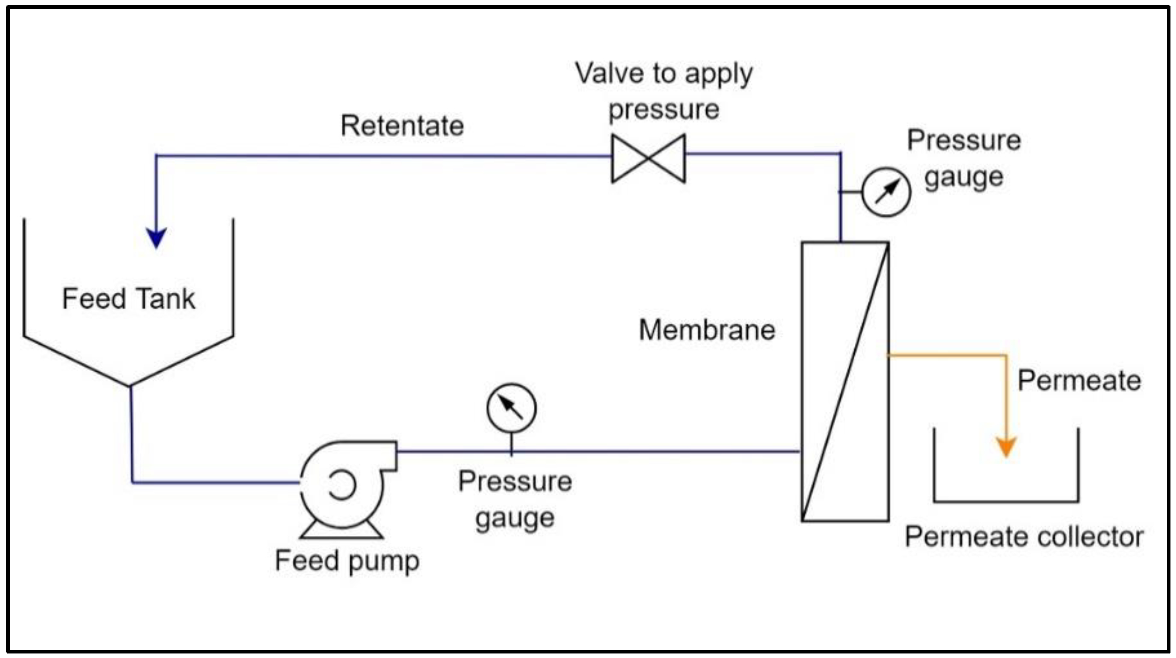 Membranes 13 00445 g003