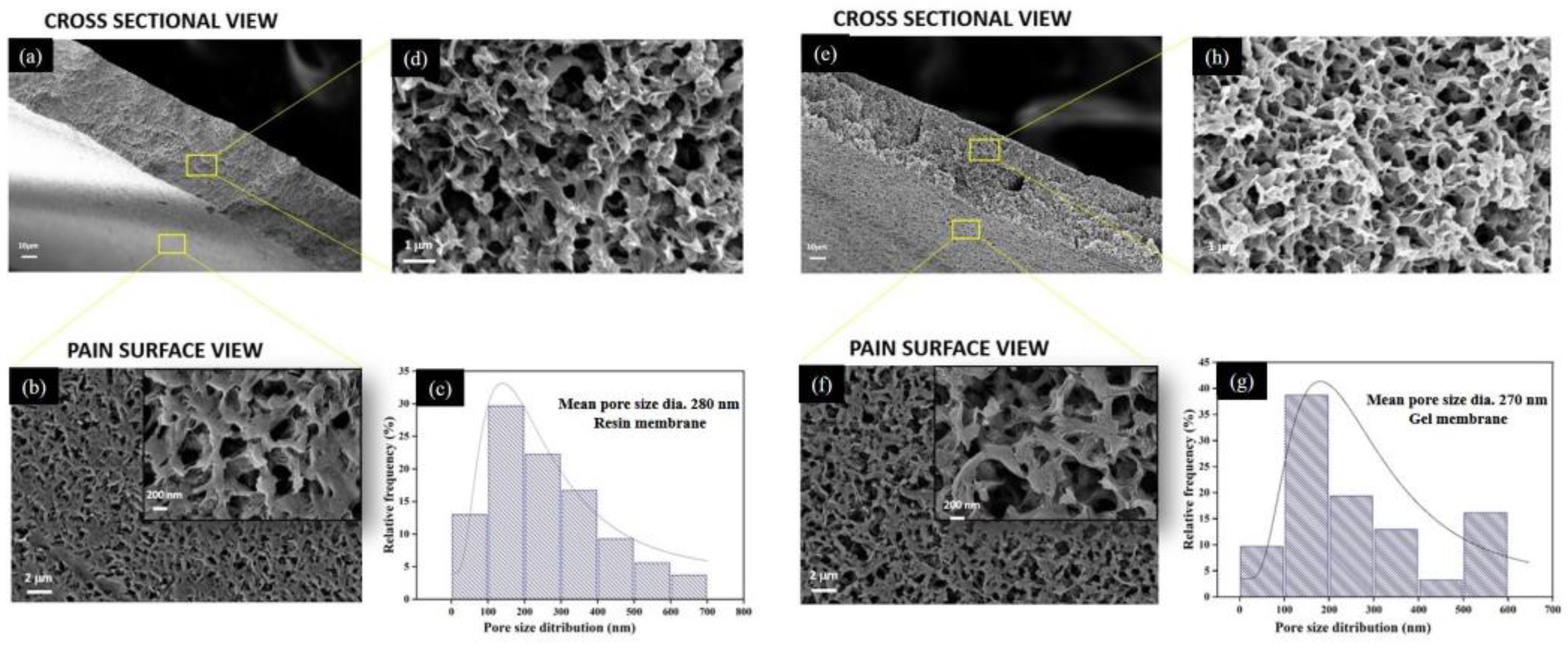 Membranes 13 00445 g007