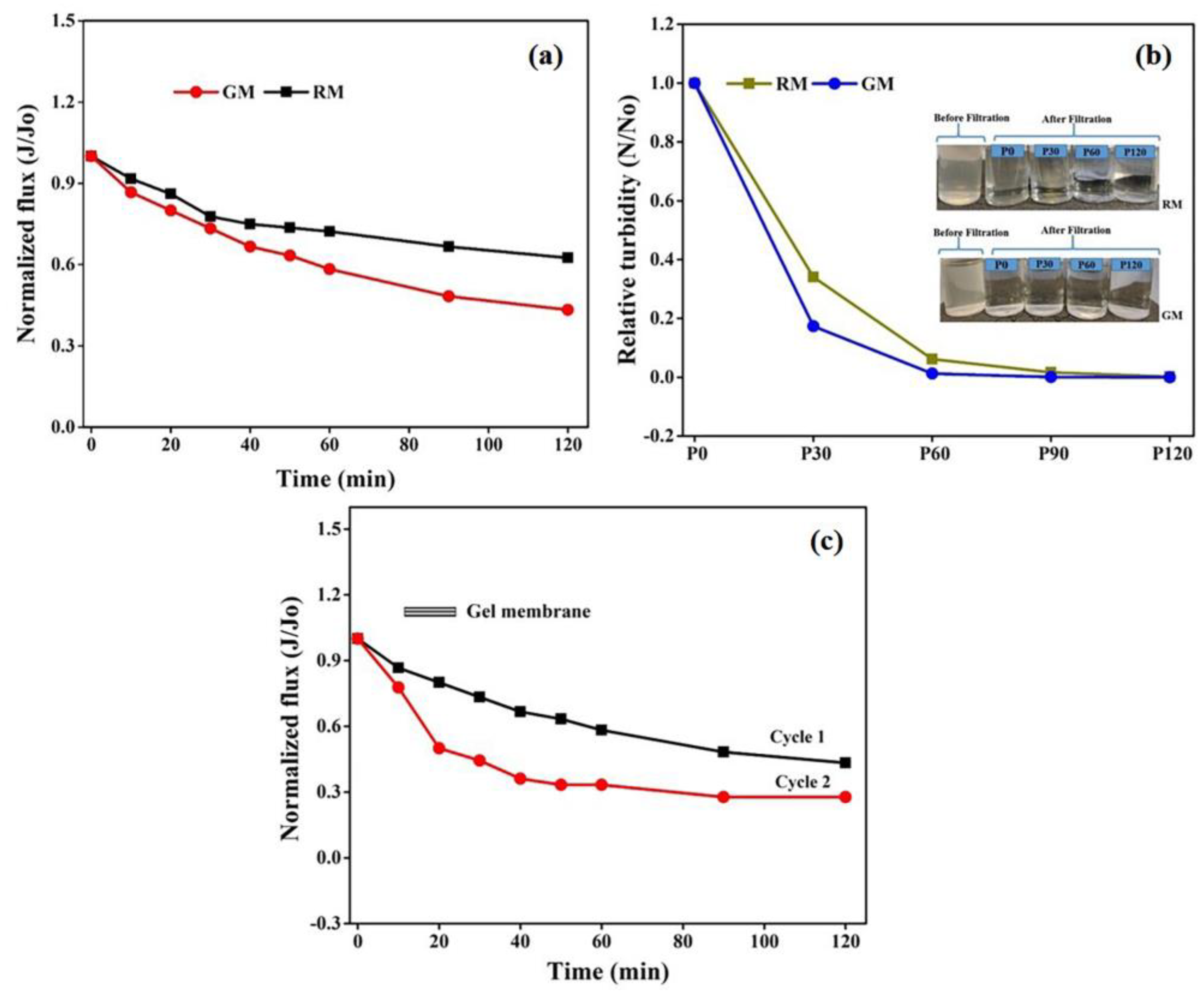 Membranes 13 00445 g011