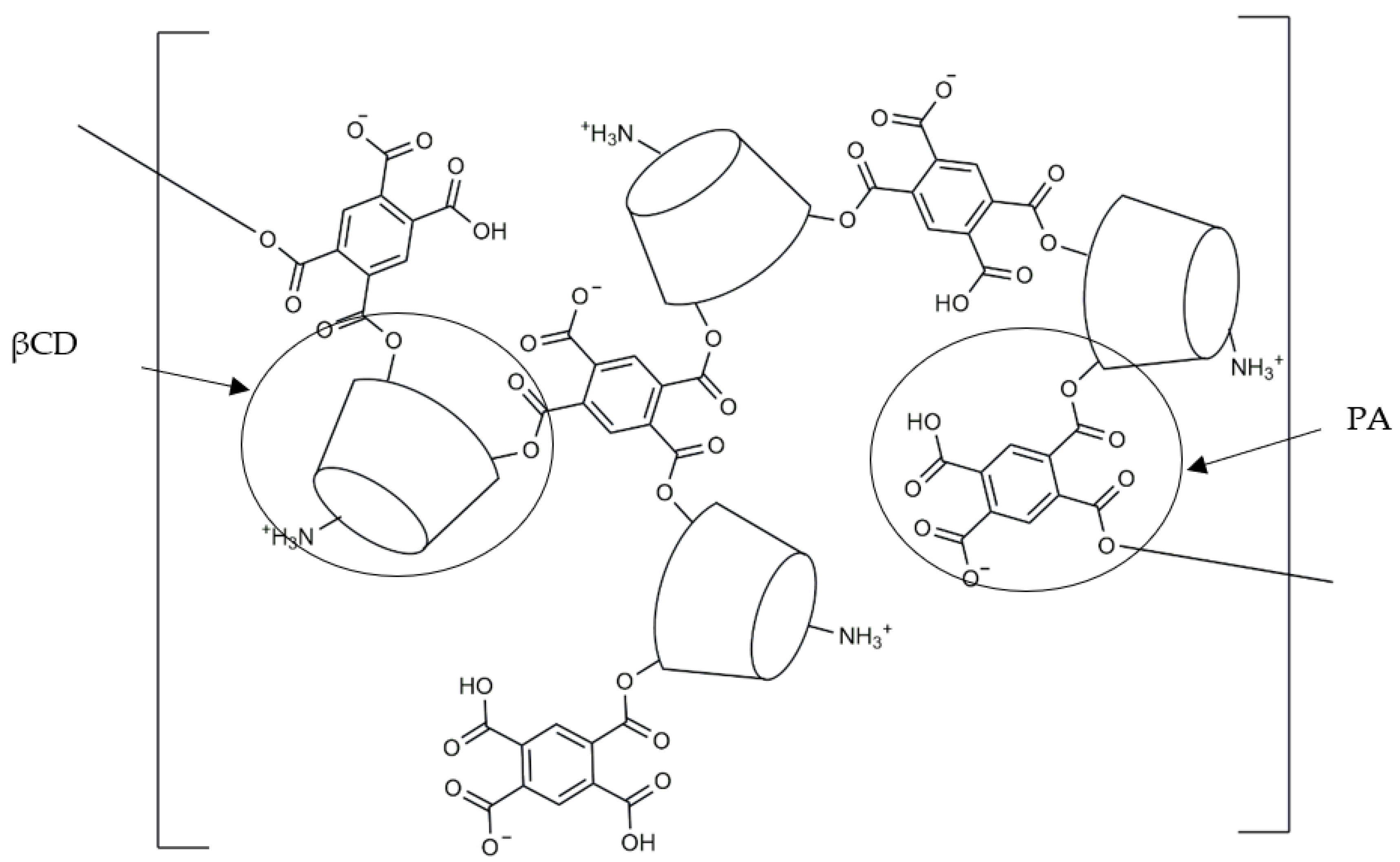 Membranes 13 00447 g001