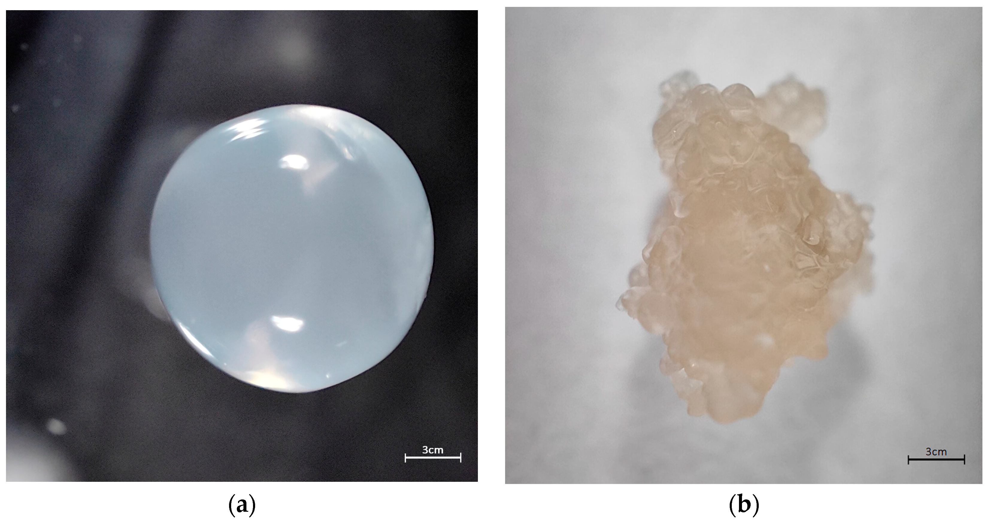 Membranes 13 00447 g002